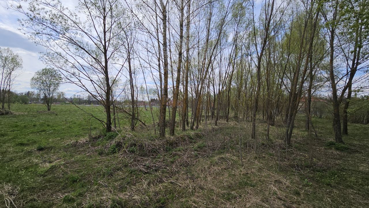 Земли поселения Московская область, городской округ Мытищи, село Марфино