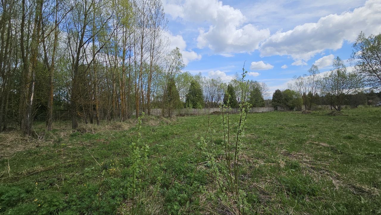 Земли поселения Московская область, городской округ Мытищи, село Марфино