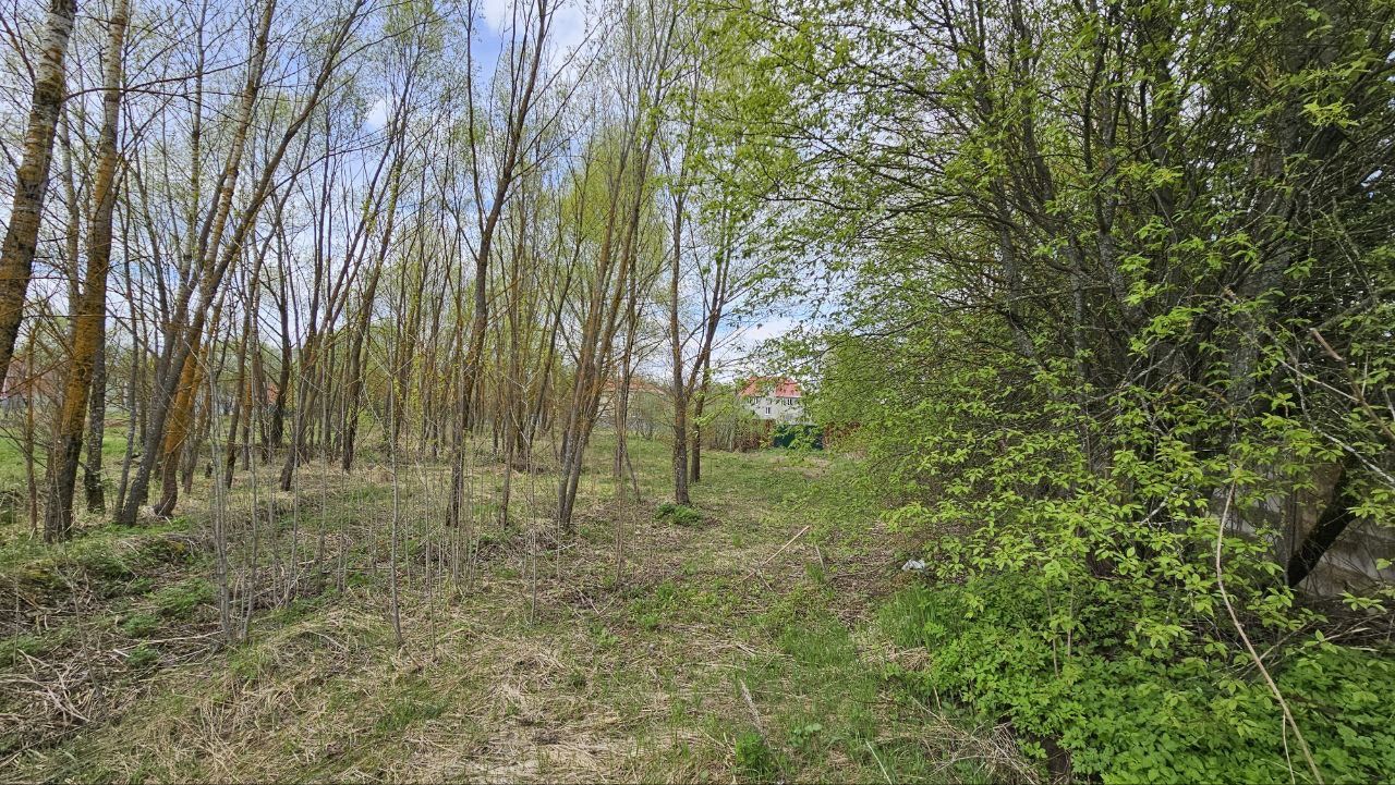 Земли поселения Московская область, городской округ Мытищи, село Марфино