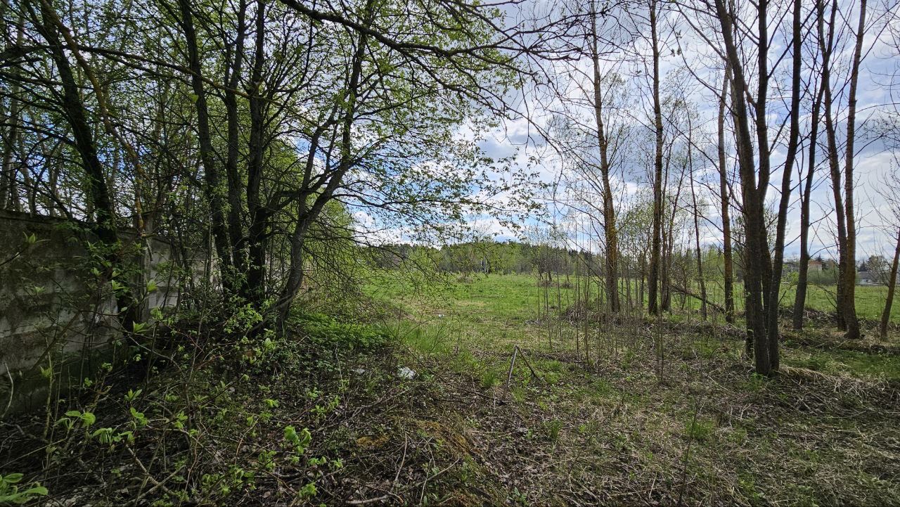 Земли поселения Московская область, городской округ Мытищи, село Марфино