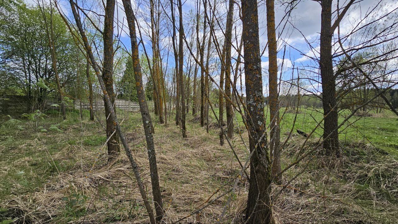 Земли поселения Московская область, городской округ Мытищи, село Марфино