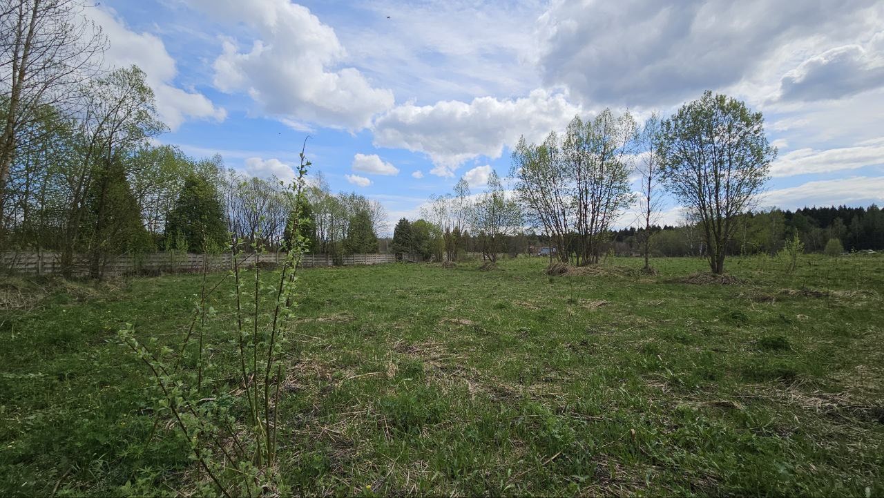 Земли поселения Московская область, городской округ Мытищи, село Марфино