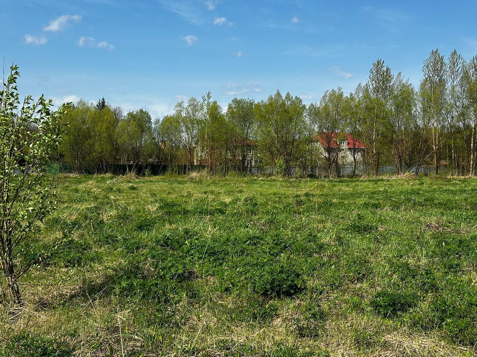 Земли сельхозназначения Московская область, городской округ Мытищи, село Марфино