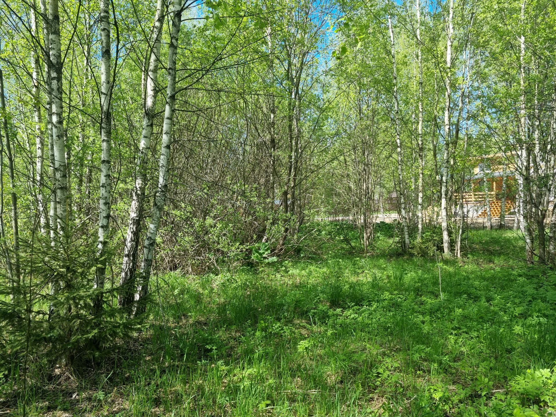 Земли поселения Московская область, Рузский городской округ, деревня Вражеское, коттеджный посёлок Руза Резорт