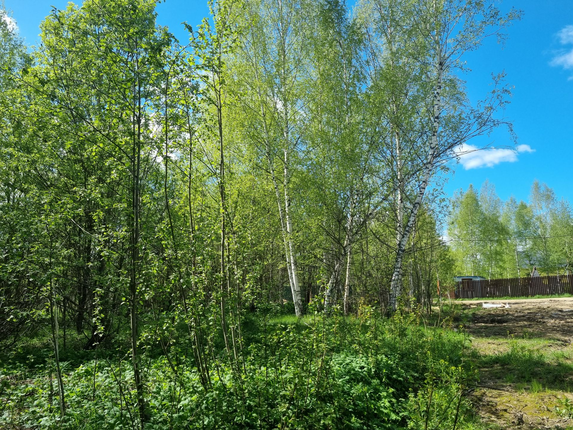 Земли поселения Московская область, Рузский городской округ, деревня Вражеское, коттеджный посёлок Руза Резорт