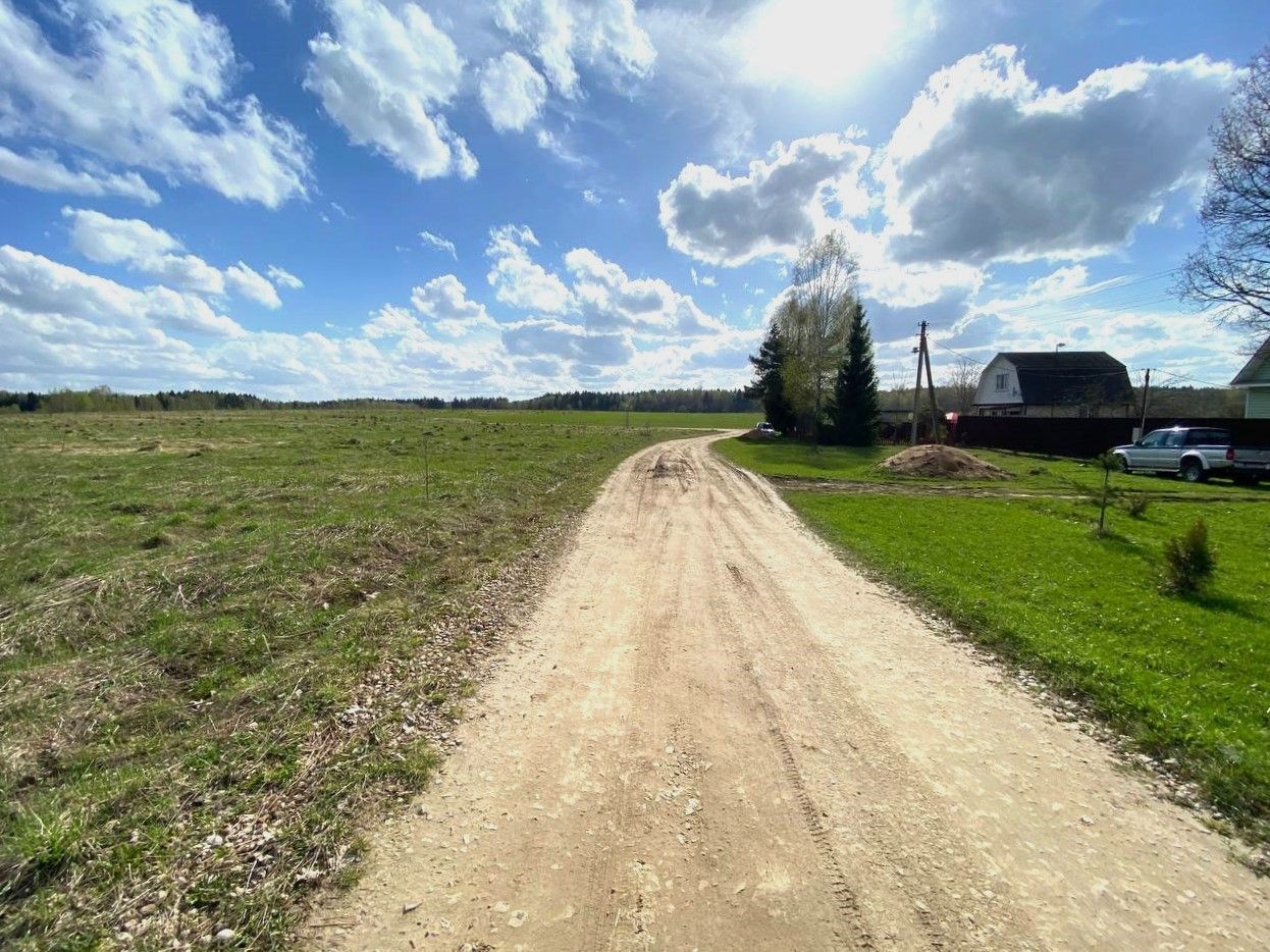 Земли поселения Московская область, Можайский городской округ, деревня Починки