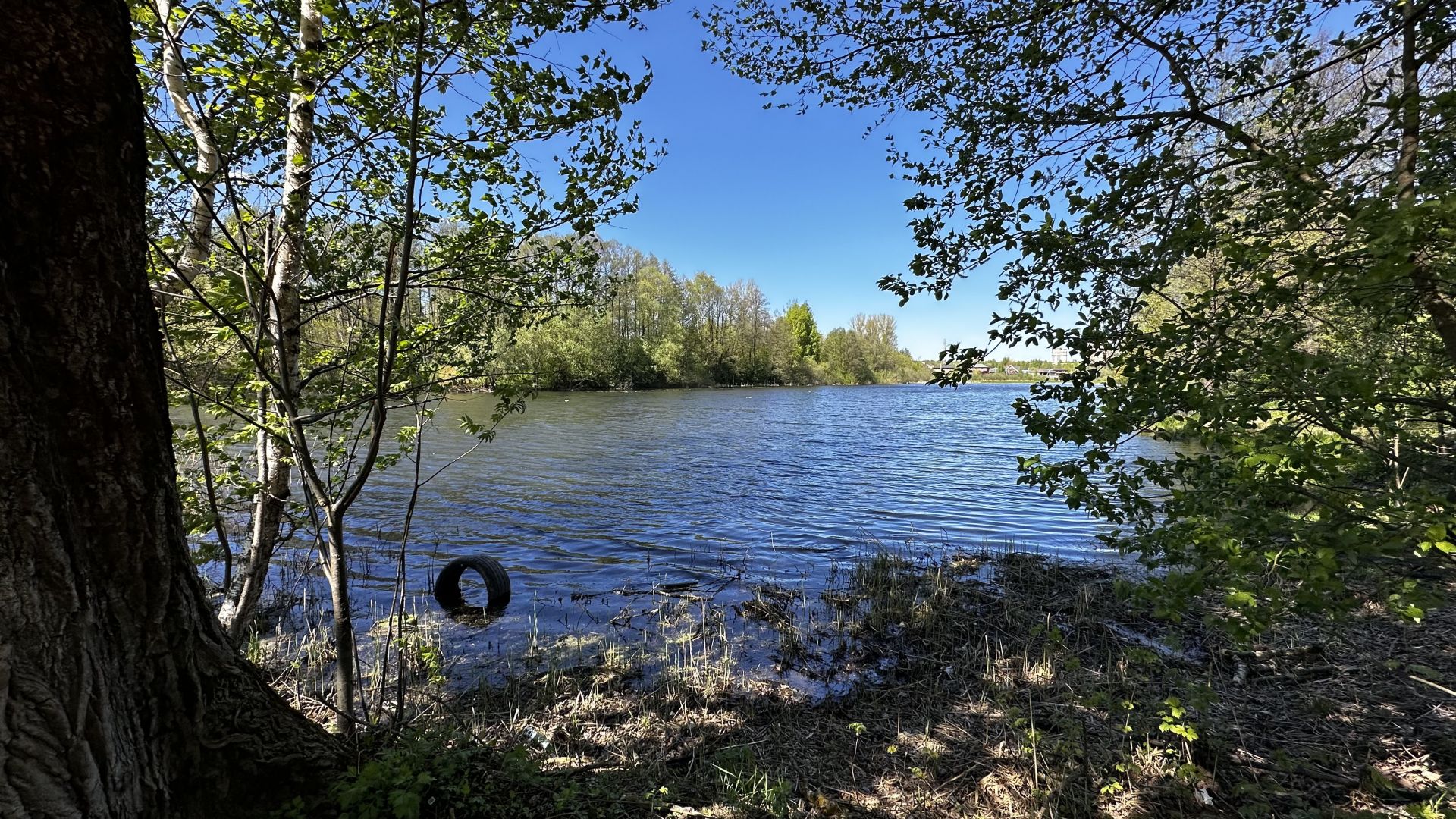 Земли поселения Московская область, городской округ Балашиха, деревня Соболиха, Центральная улица