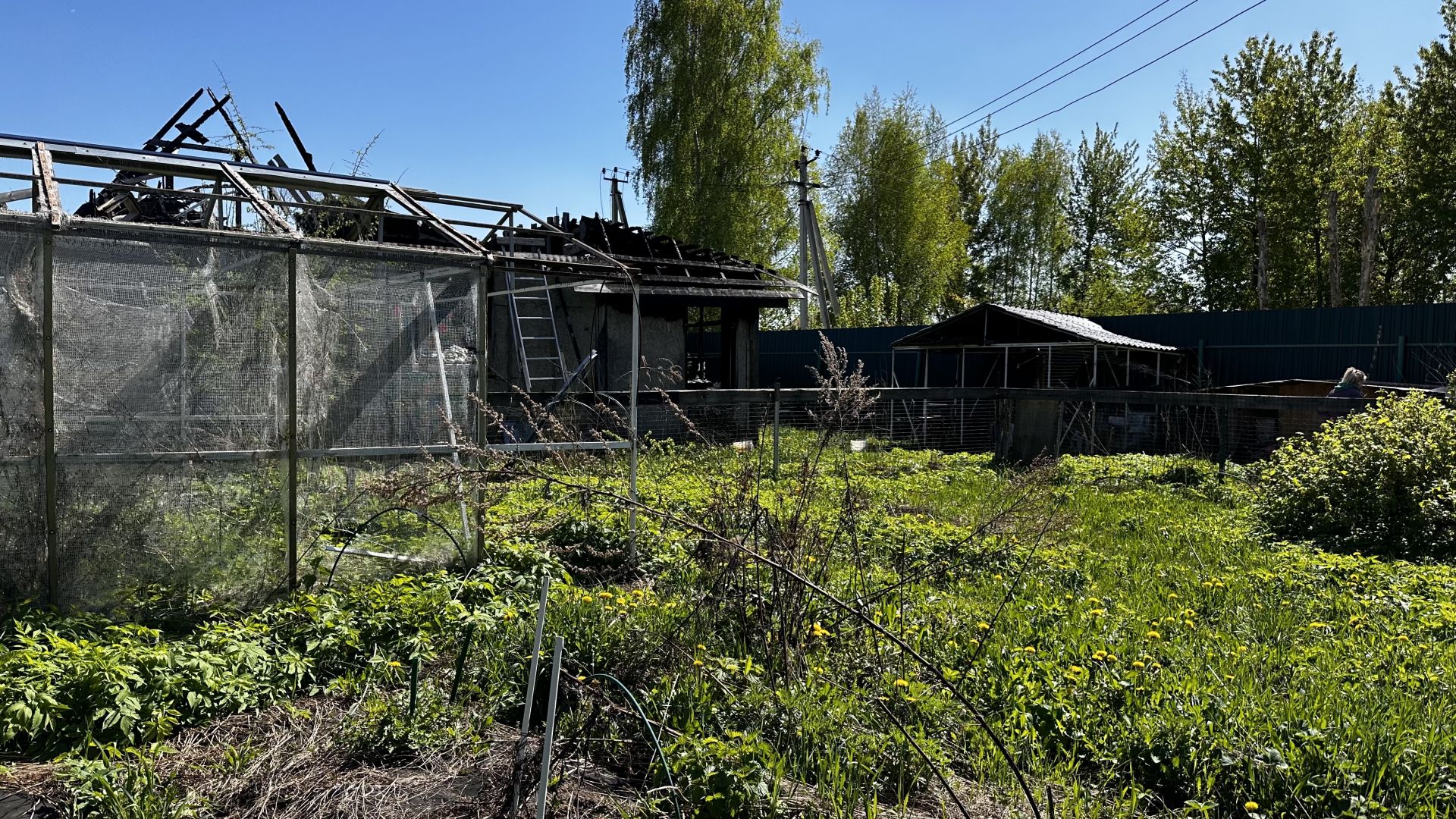 Земли поселения Московская область, городской округ Балашиха, деревня Соболиха, Центральная улица