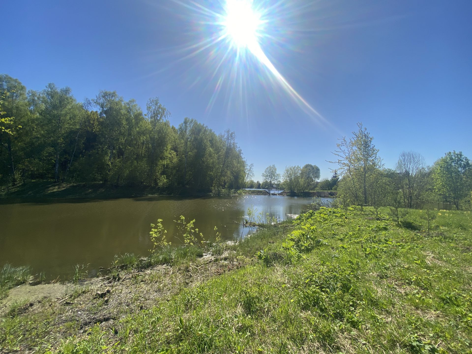 Земли поселения Московская область, городской округ Домодедово, деревня Сонино, посёлок Новое Сонино