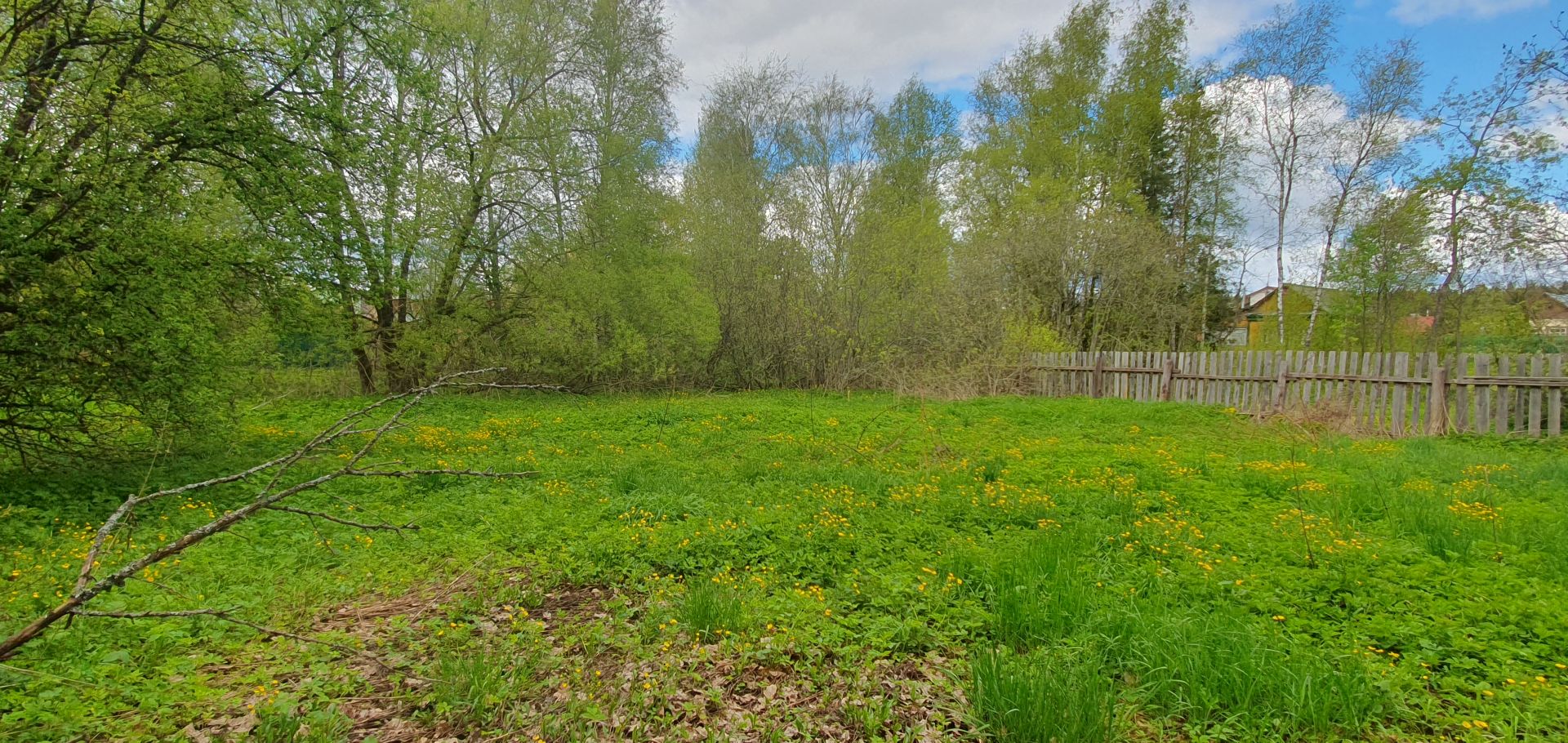 Земли поселения Московская область, Одинцовский городской округ, село Покровское