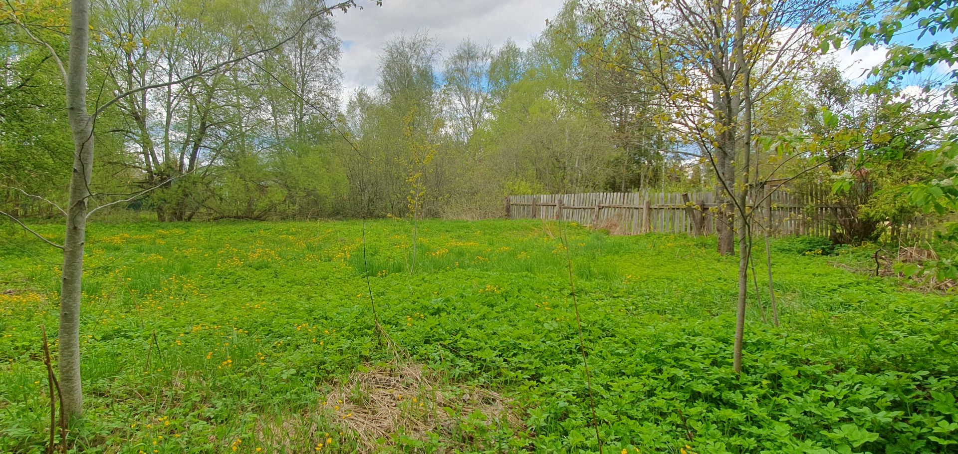 Земли поселения Московская область, Одинцовский городской округ, село Покровское