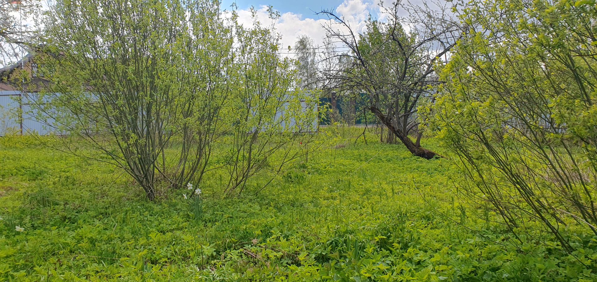 Земли поселения Московская область, Одинцовский городской округ, посёлок Покровское