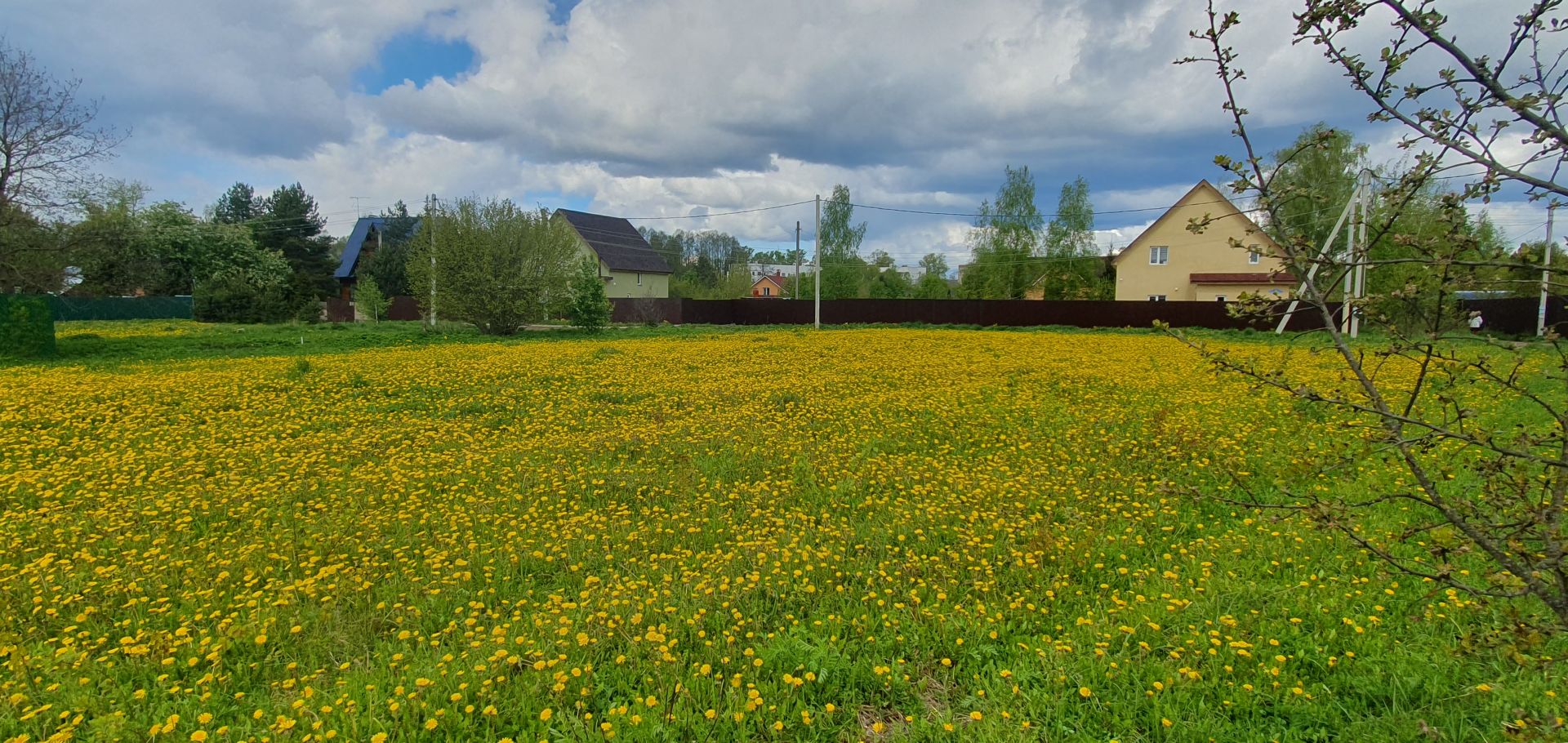 Земли поселения Московская область, Одинцовский городской округ, село Покровское