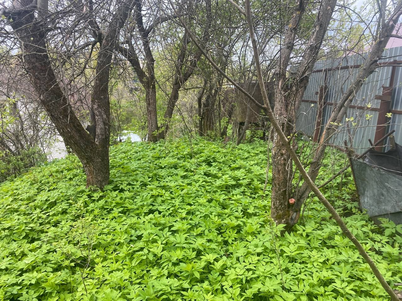 Земли сельхозназначения Московская область, городской округ Красногорск, рабочий посёлок Нахабино, 1-я Заречная улица