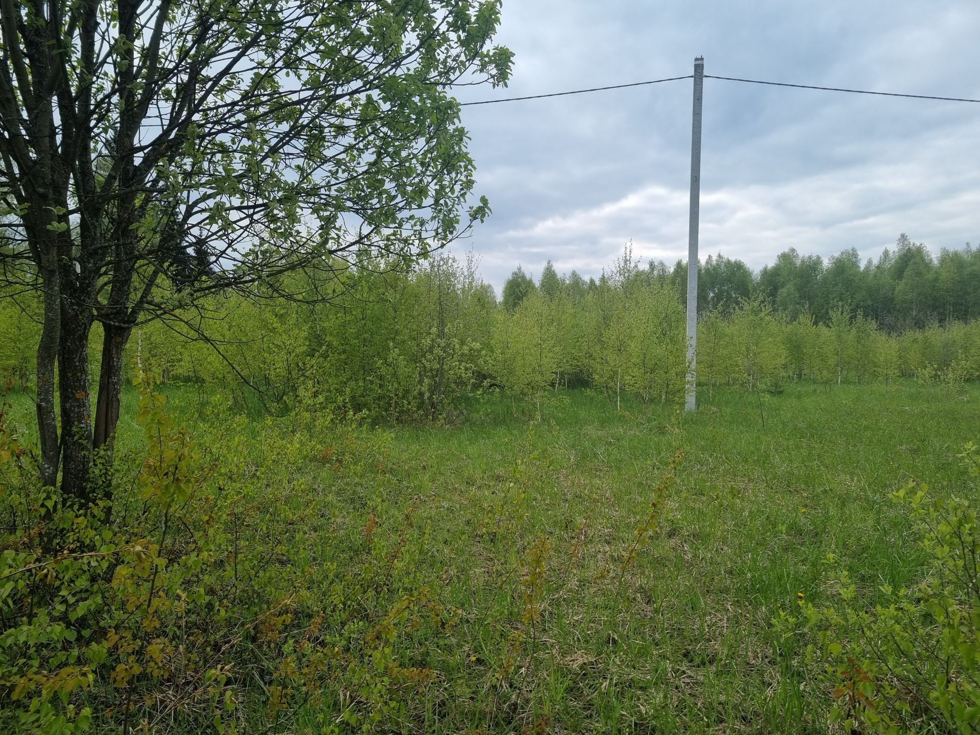 Земли сельхозназначения Московская область, Рузский городской округ, территория Полевая, Полевая улица