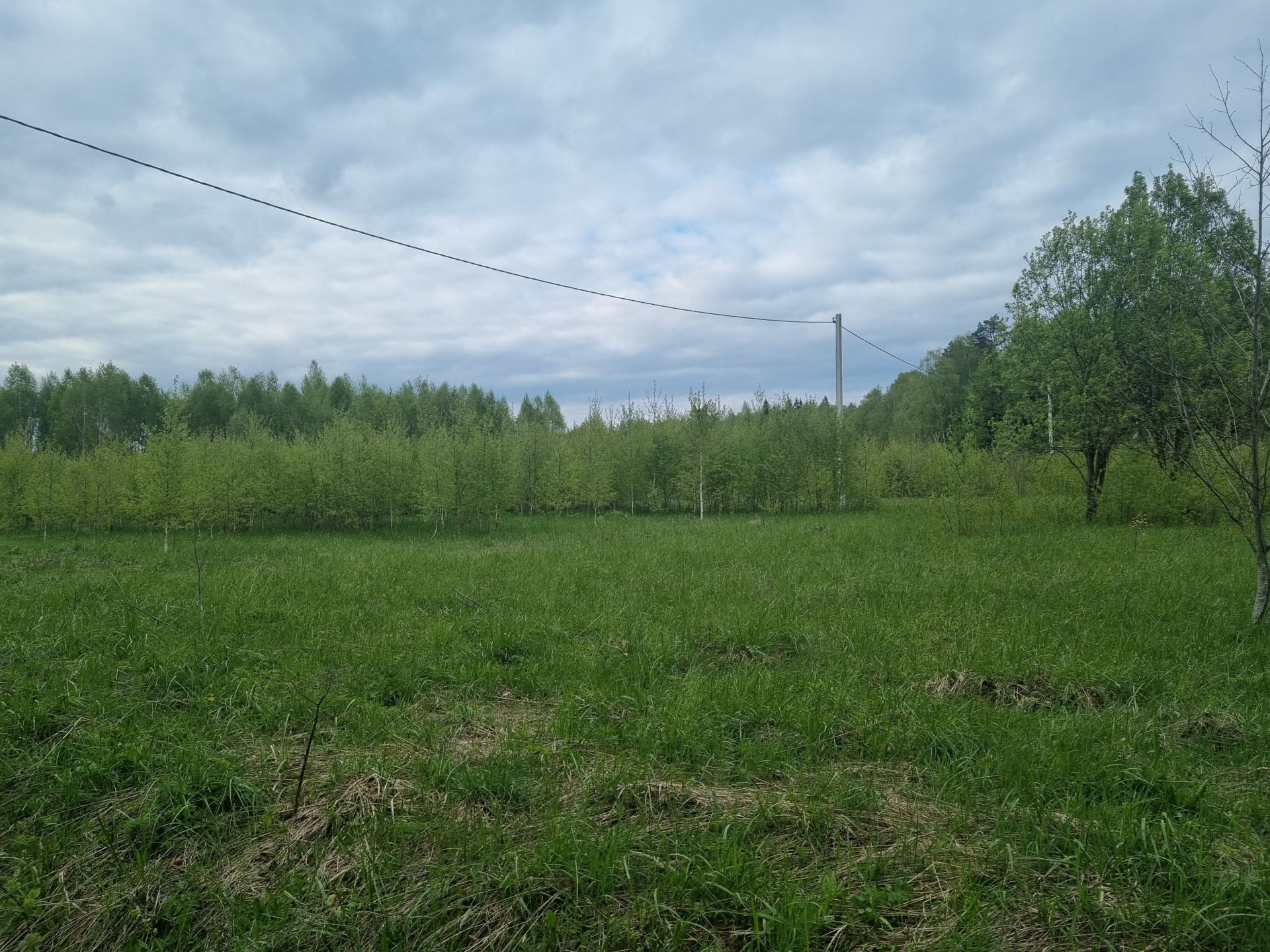 Земли сельхозназначения Московская область, Рузский городской округ, территория Полевая, Полевая улица