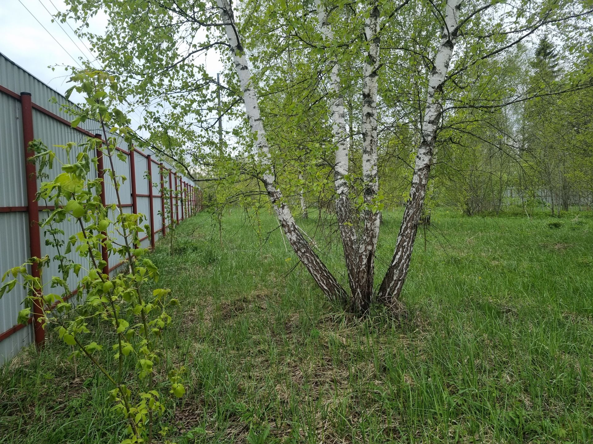 Земли сельхозназначения Московская область, Рузский городской округ, дачное некоммерческое партнёрство Светлое