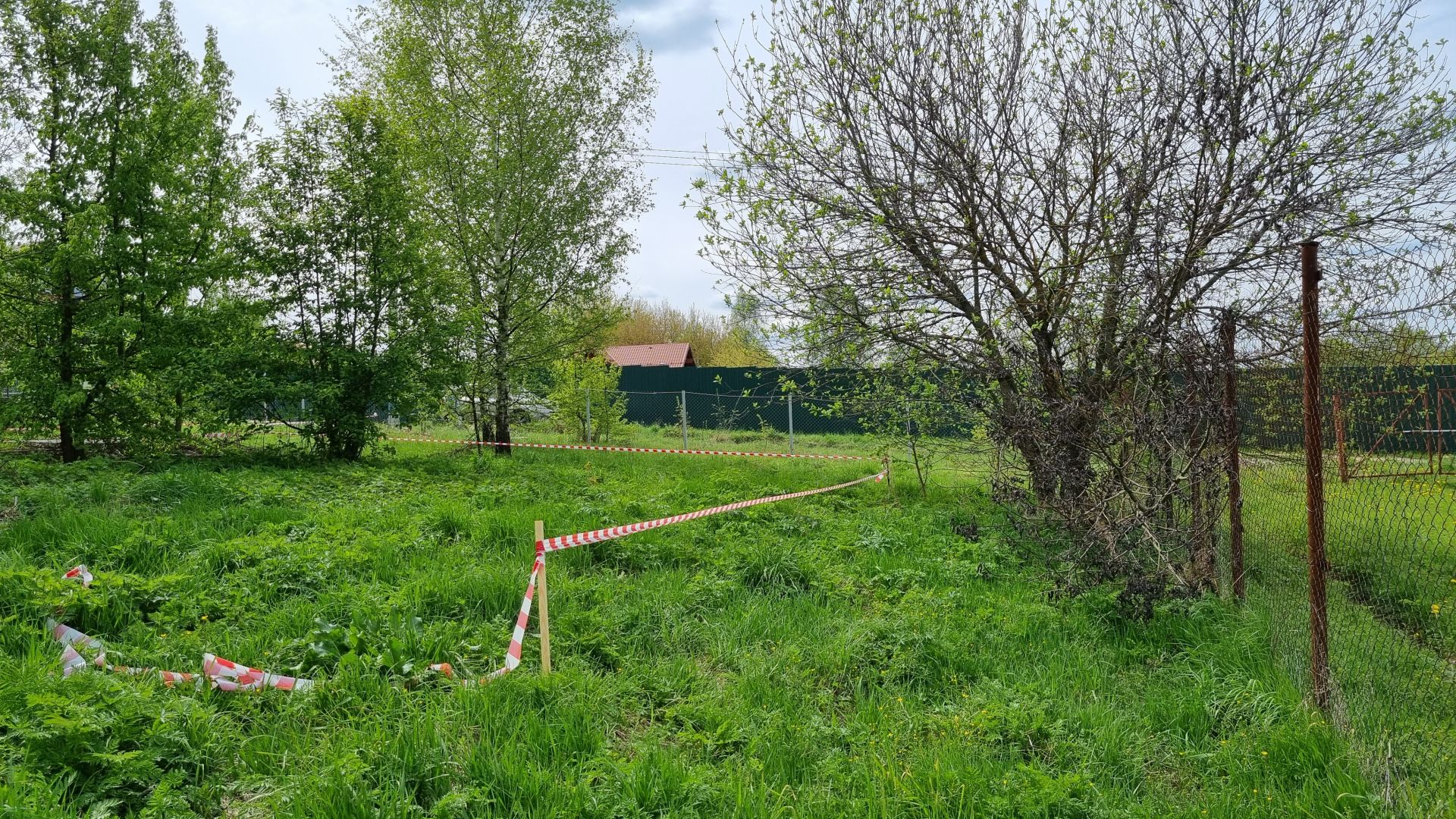 Земли поселения Московская область, городской округ Пушкинский, деревня Григорково