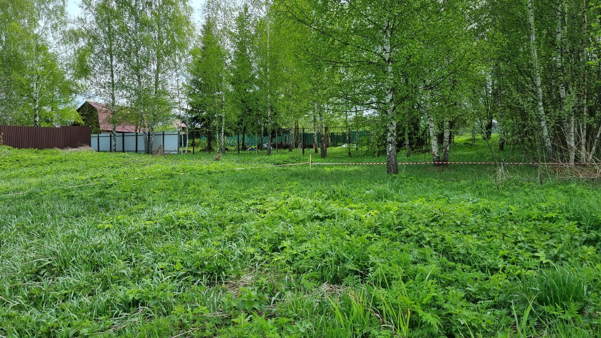 Земли поселения Московская область, городской округ Пушкинский, деревня Григорково