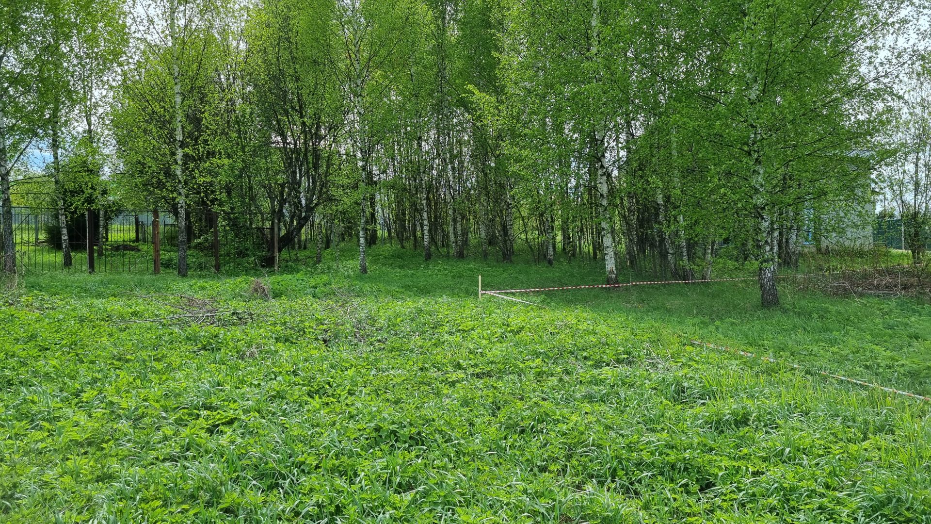 Земли поселения Московская область, городской округ Пушкинский, деревня Григорково