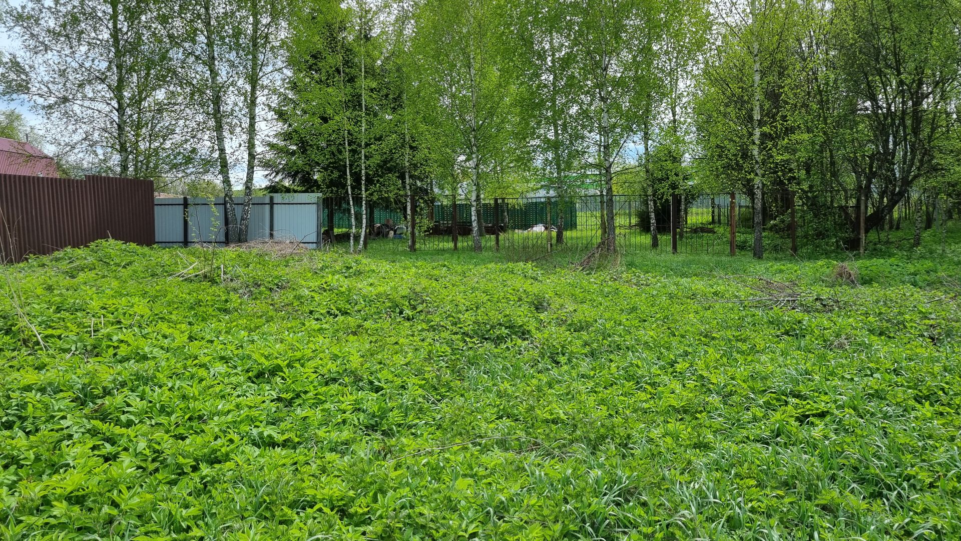 Земли поселения Московская область, городской округ Пушкинский, деревня Григорково