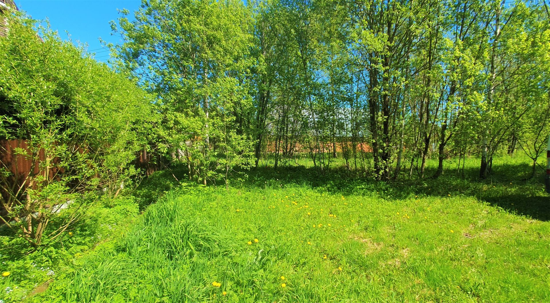 Земли сельхозназначения Московская область, Одинцовский городской округ, СНТ Покровское-2000