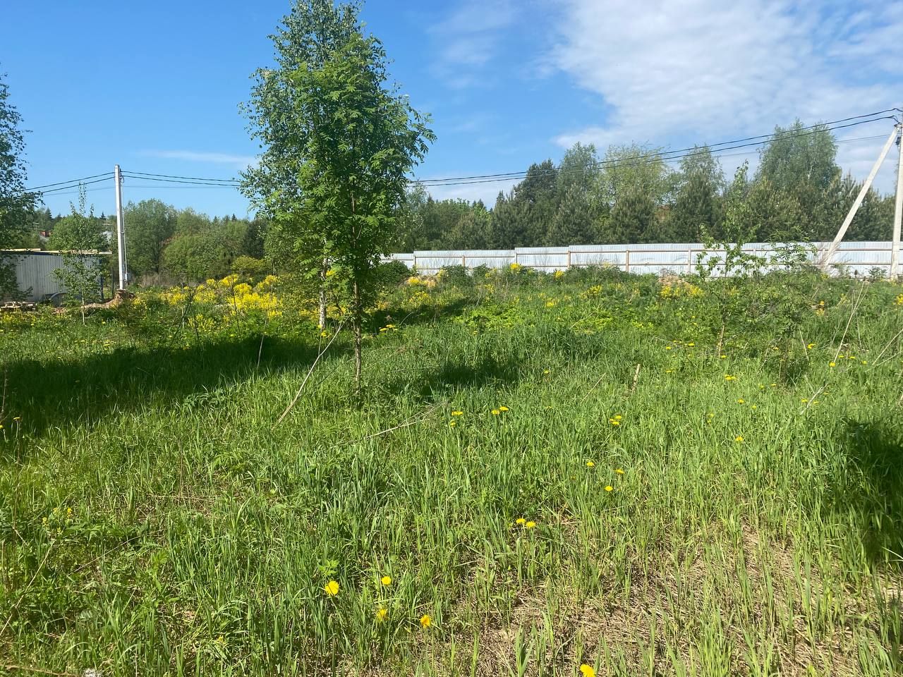 Земли поселения Московская область, городской округ Красногорск, деревня Нефедьево, Западный проезд