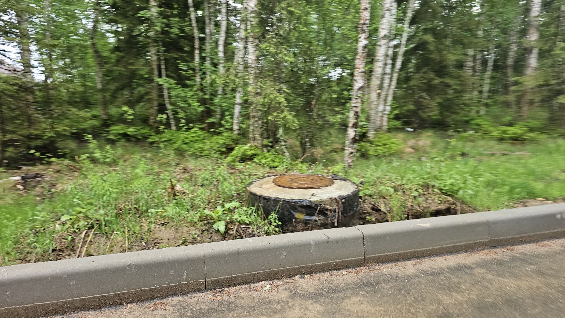 Земли сельхозназначения Московская область, городской округ Истра, территория СНТ Перелески