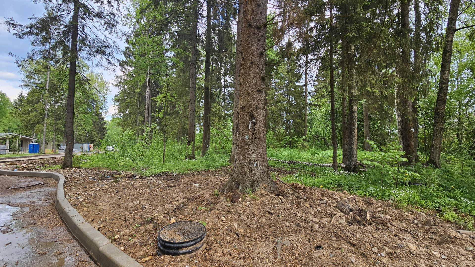 Земли сельхозназначения Московская область, городской округ Истра, территория СНТ Перелески