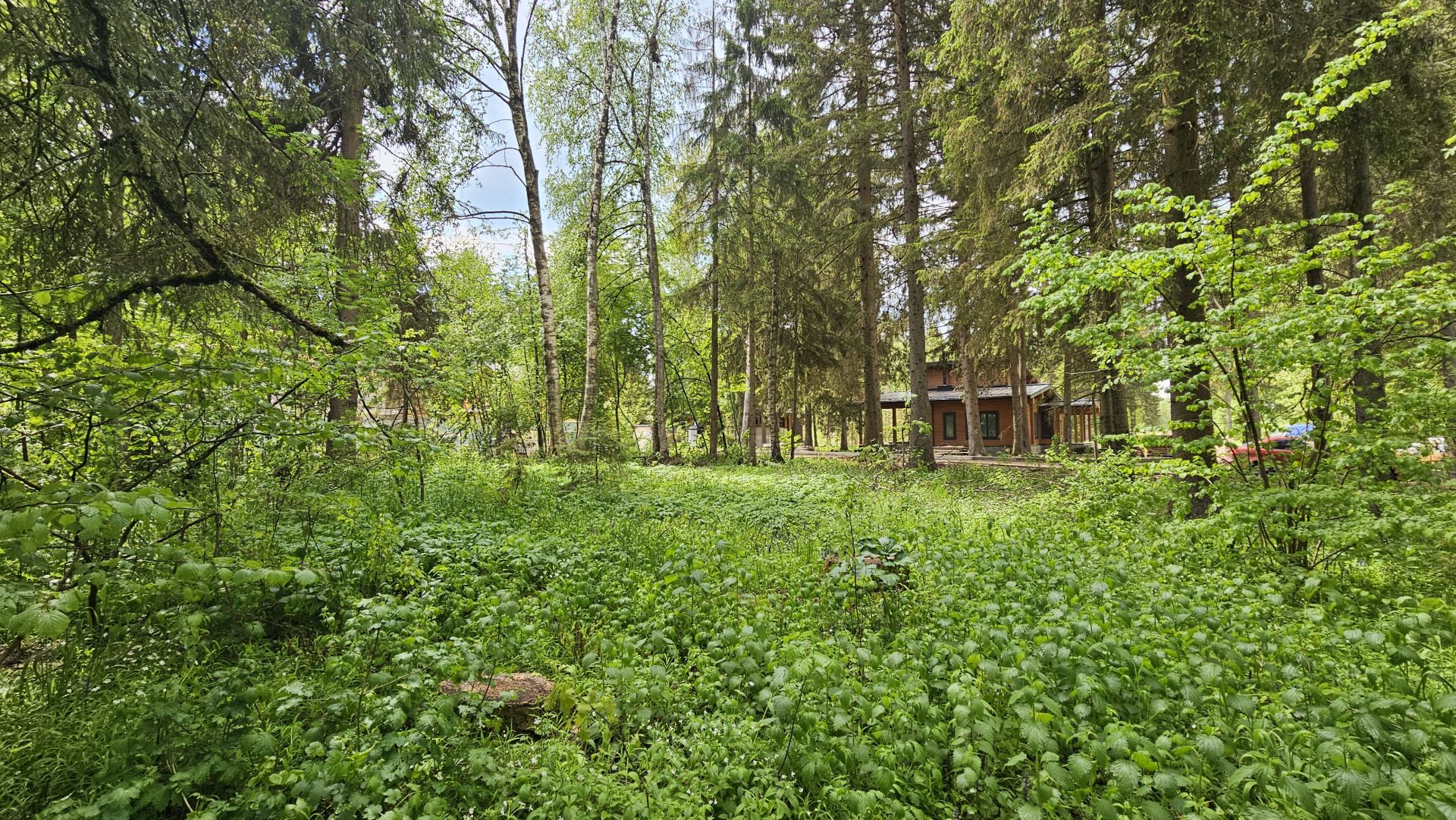 Земли сельхозназначения Московская область, городской округ Истра, территория СНТ Перелески