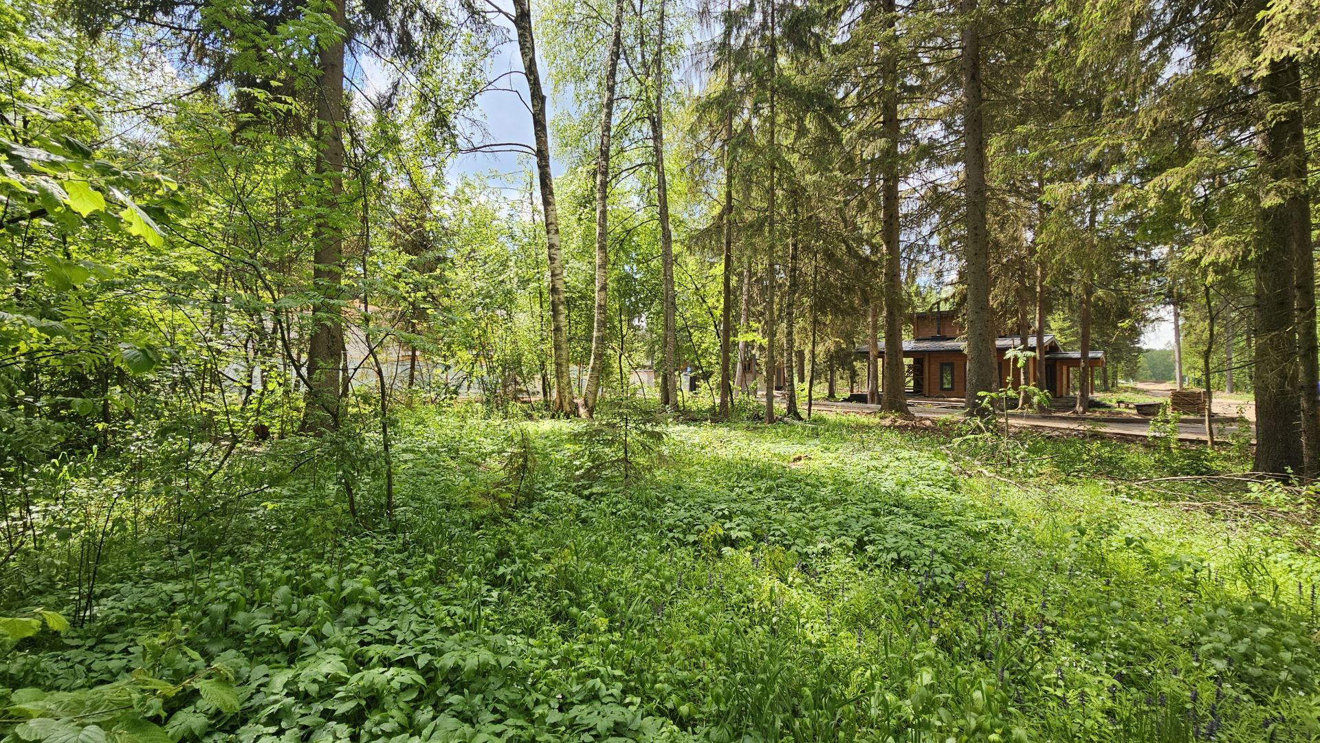 Земли сельхозназначения Московская область, городской округ Истра, территория СНТ Перелески