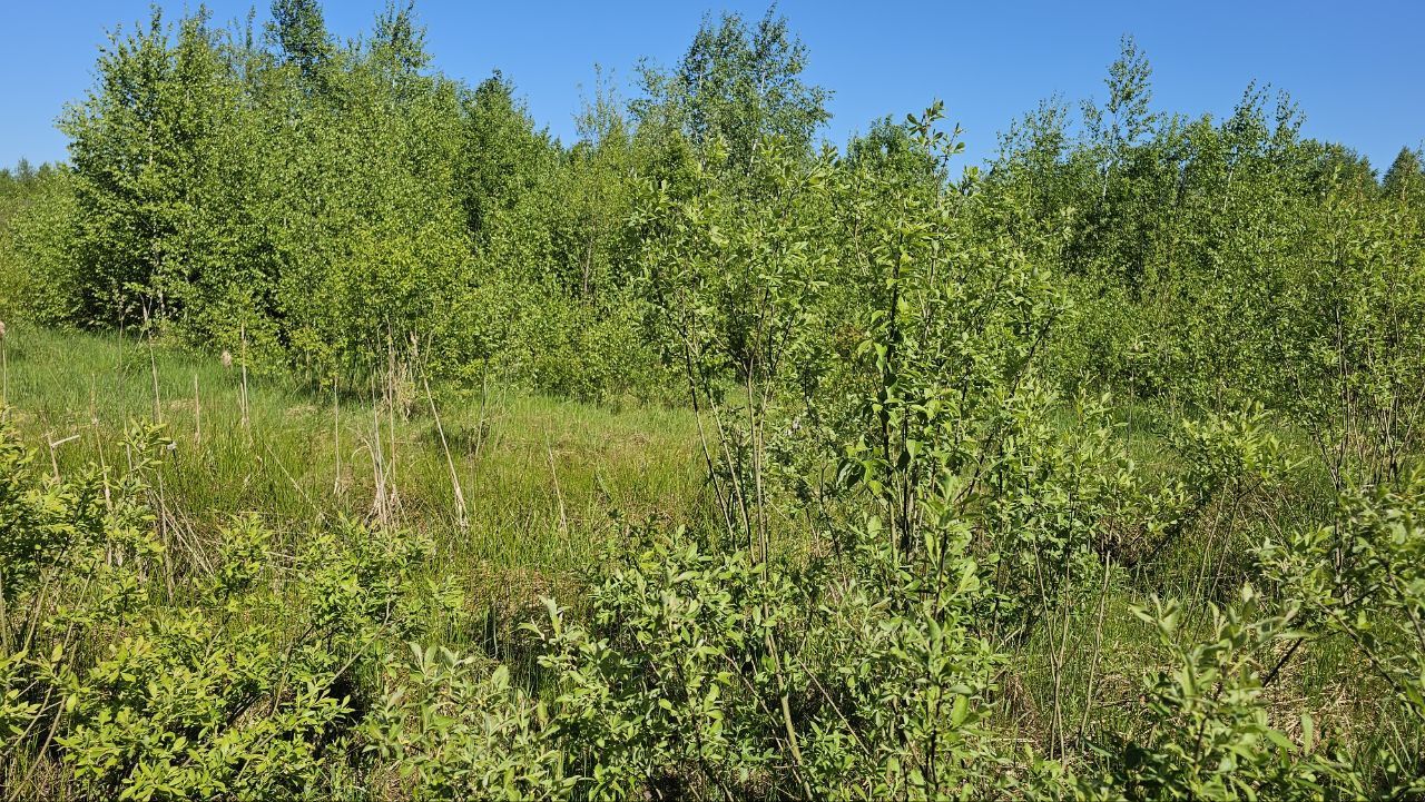 Земли сельхозназначения Московская область, городской округ Электросталь, посёлок Елизаветино