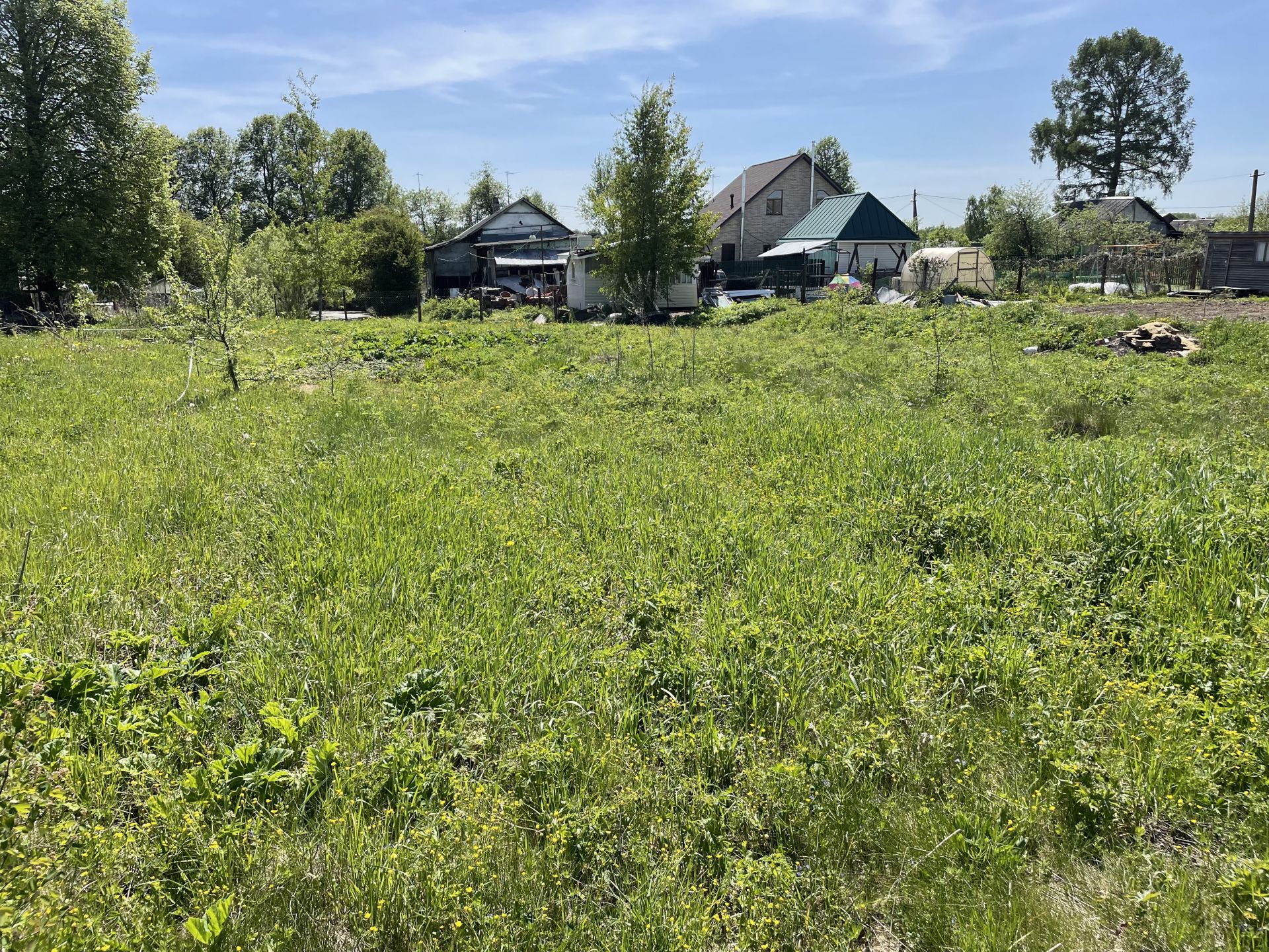 Земли поселения Московская область, городской округ Пушкинский, деревня Никулино