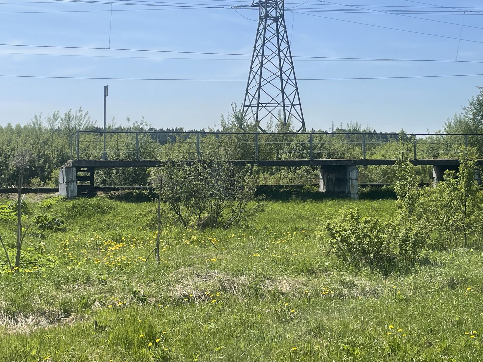 Земли поселения Московская область, городской округ Пушкинский, деревня Никулино