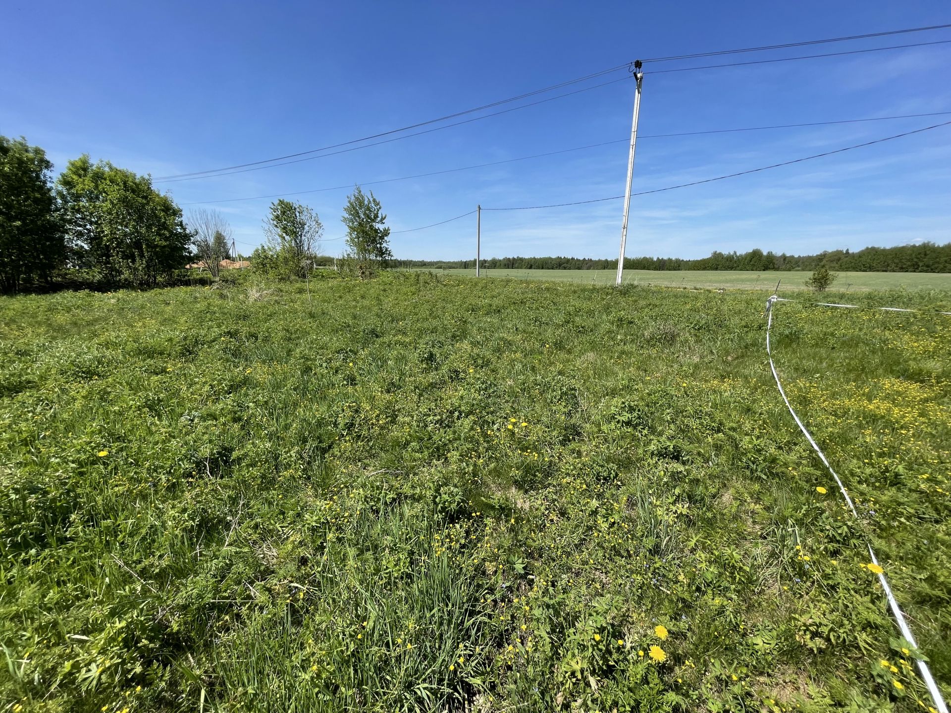 Земли поселения Московская область, городской округ Пушкинский, деревня Никулино