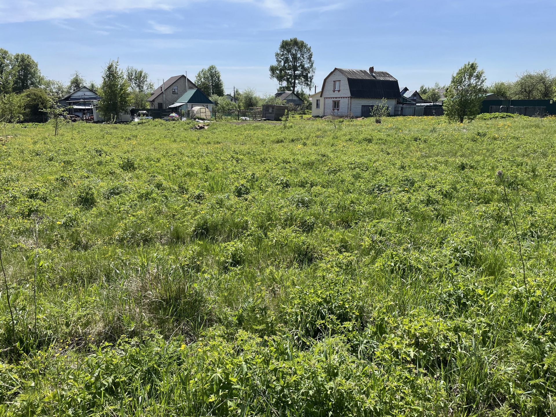 Земли поселения Московская область, городской округ Пушкинский, деревня Никулино