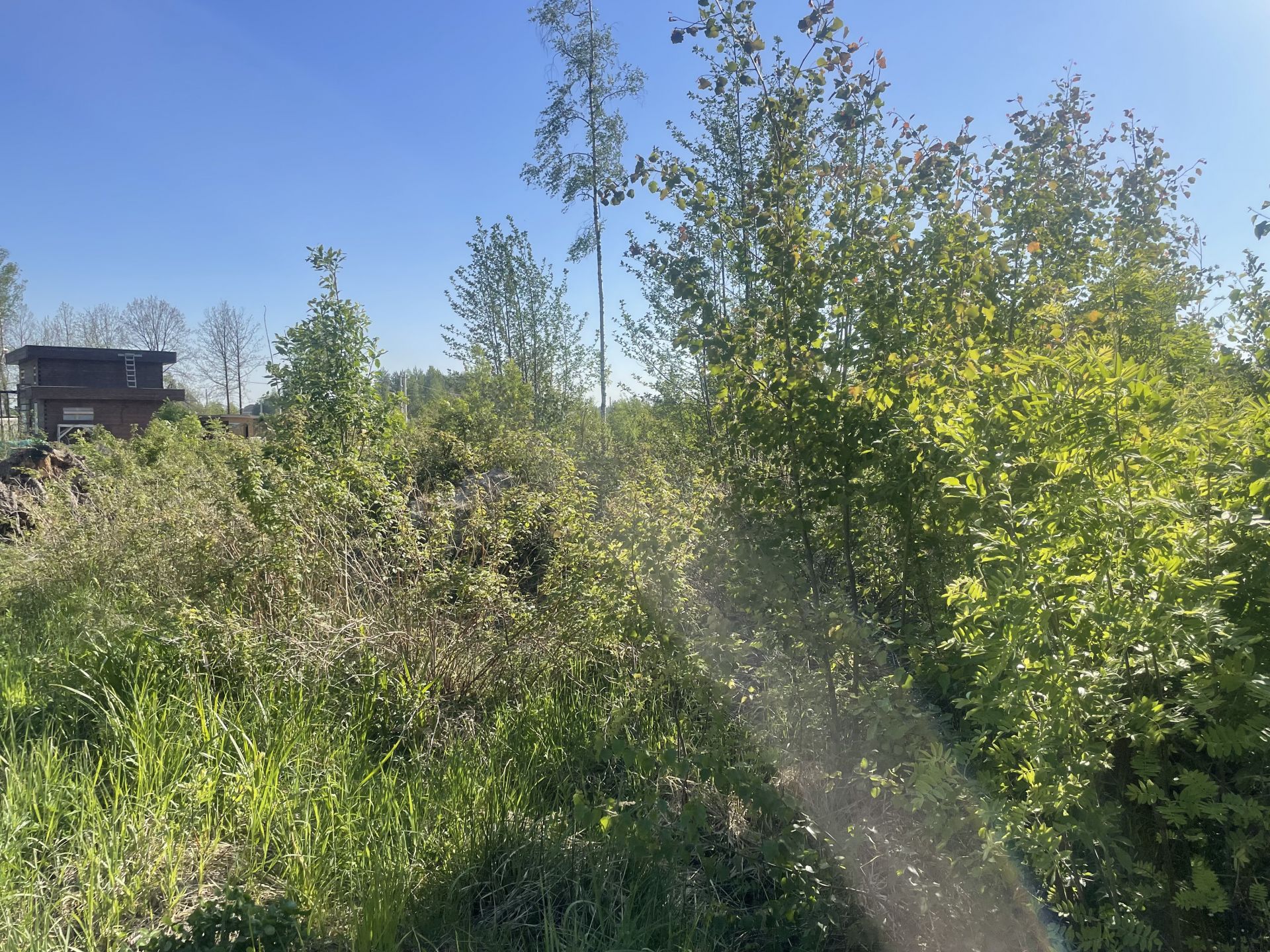 Земли поселения Московская область, городской округ Лосино-Петровский, деревня Митянино