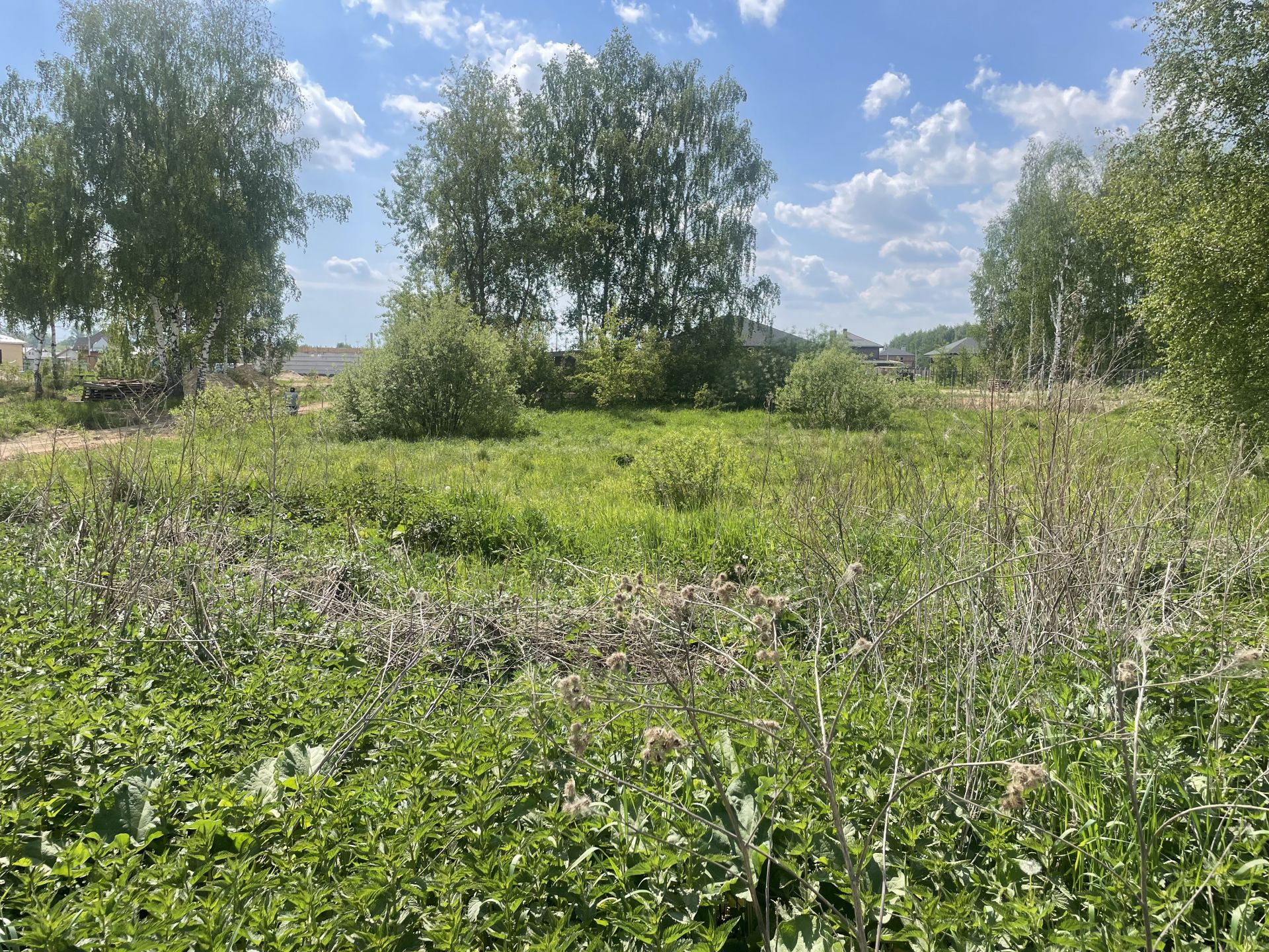 Земли поселения Московская область, Богородский городской округ, деревня Пешково, Набережная улица