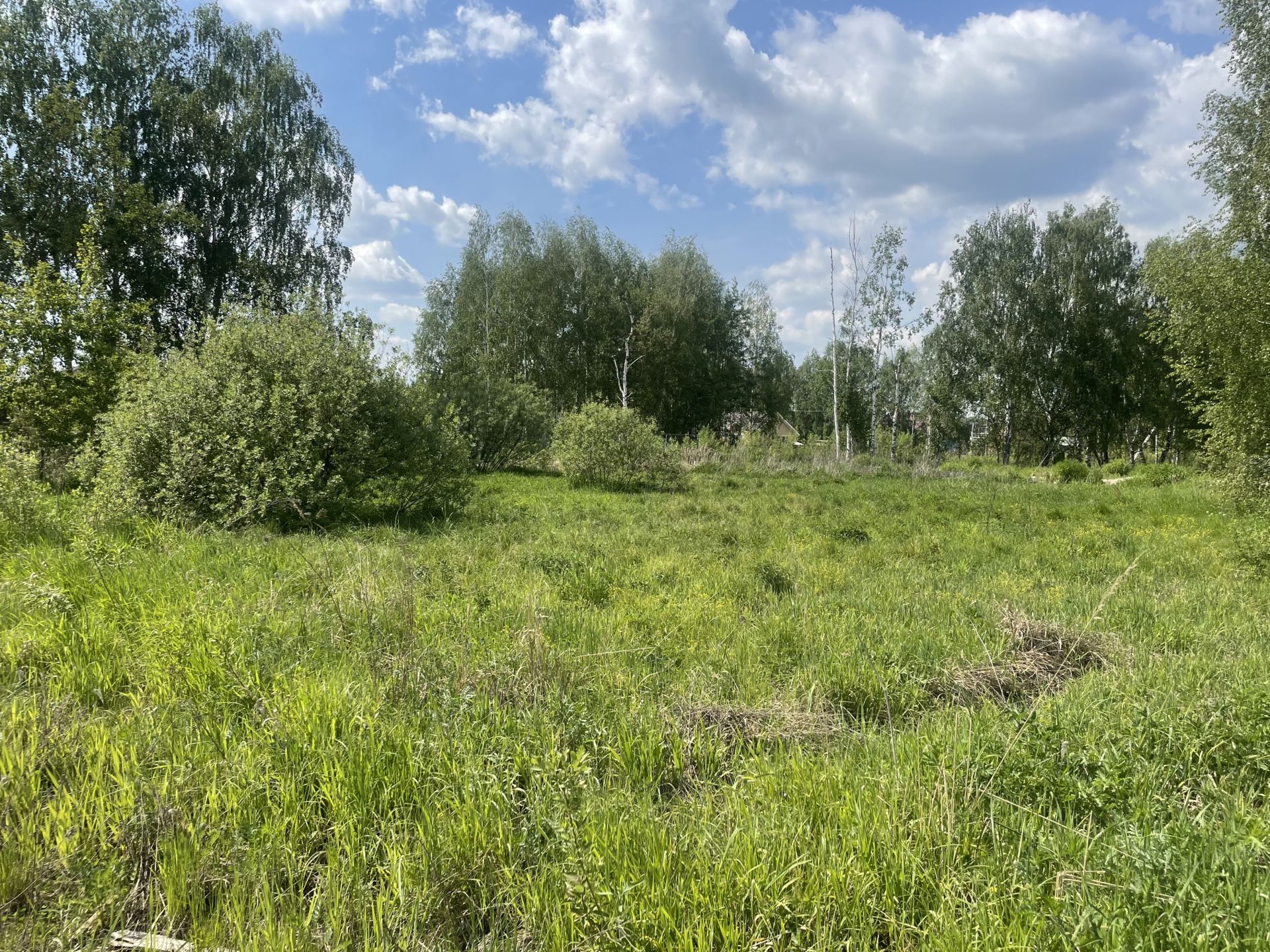 Земли поселения Московская область, Богородский городской округ, деревня Пешково, Набережная улица