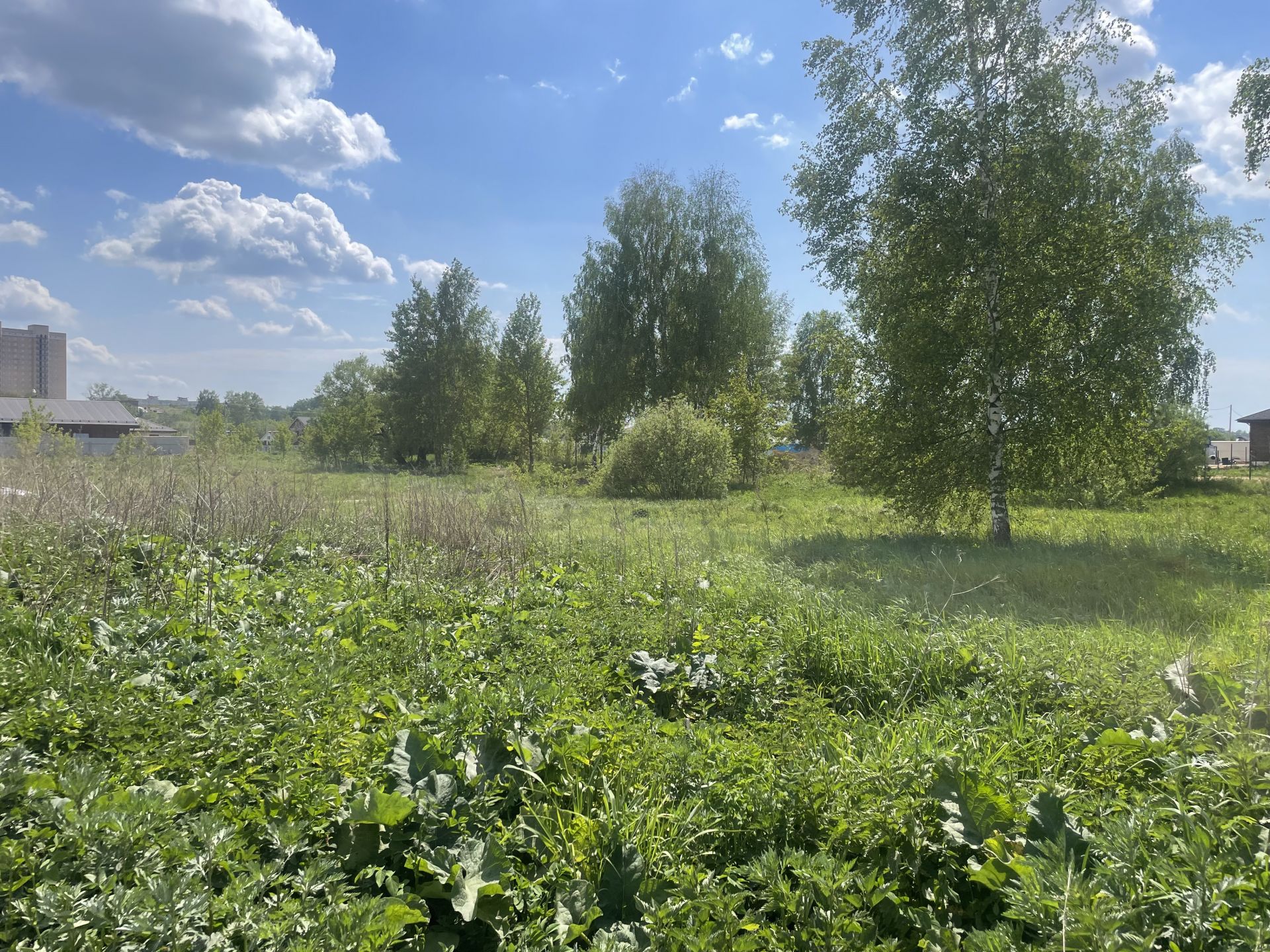 Земли поселения Московская область, Богородский городской округ, деревня Пешково, Набережная улица