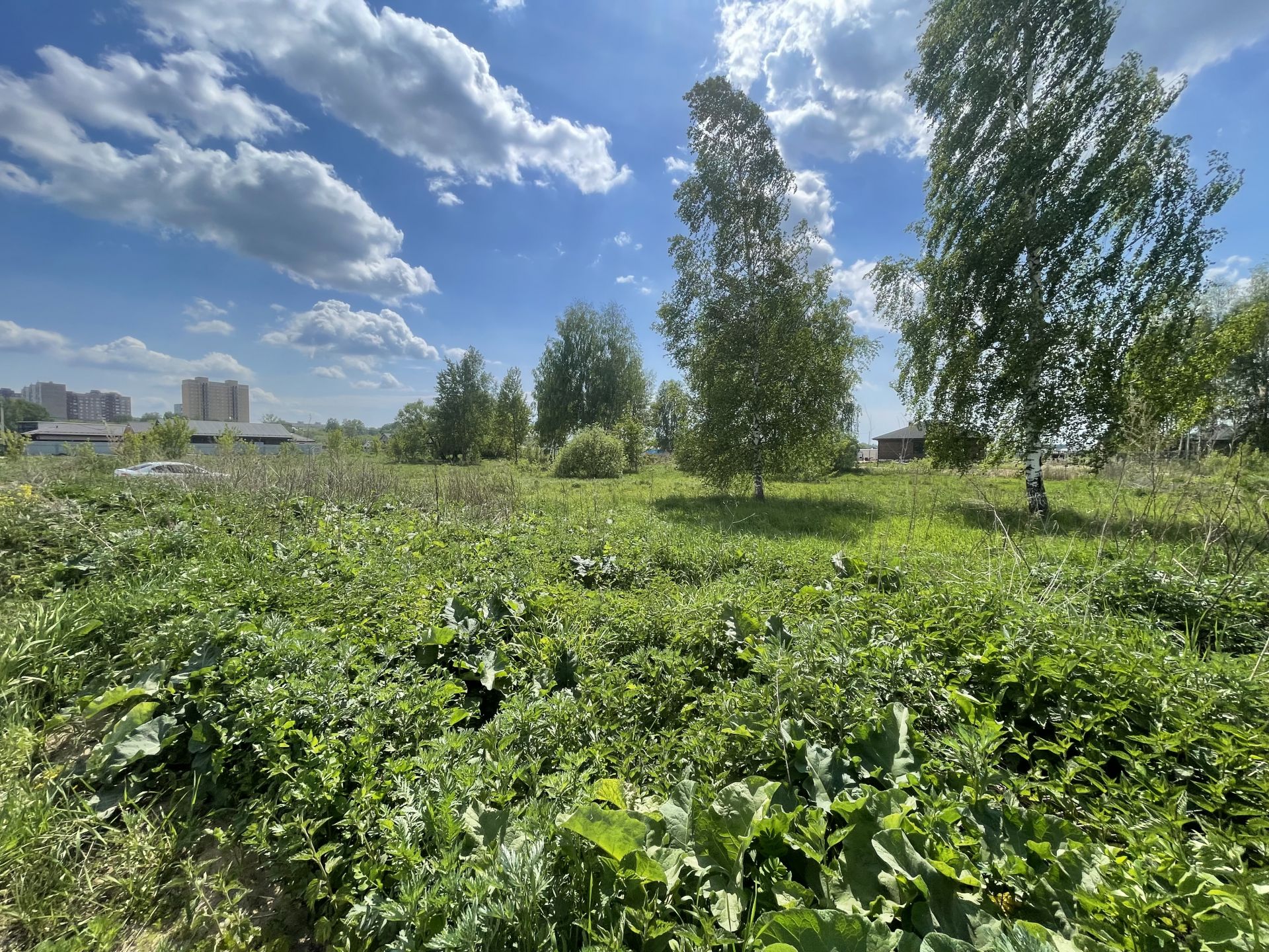 Земли поселения Московская область, Богородский городской округ, деревня Пешково, Набережная улица