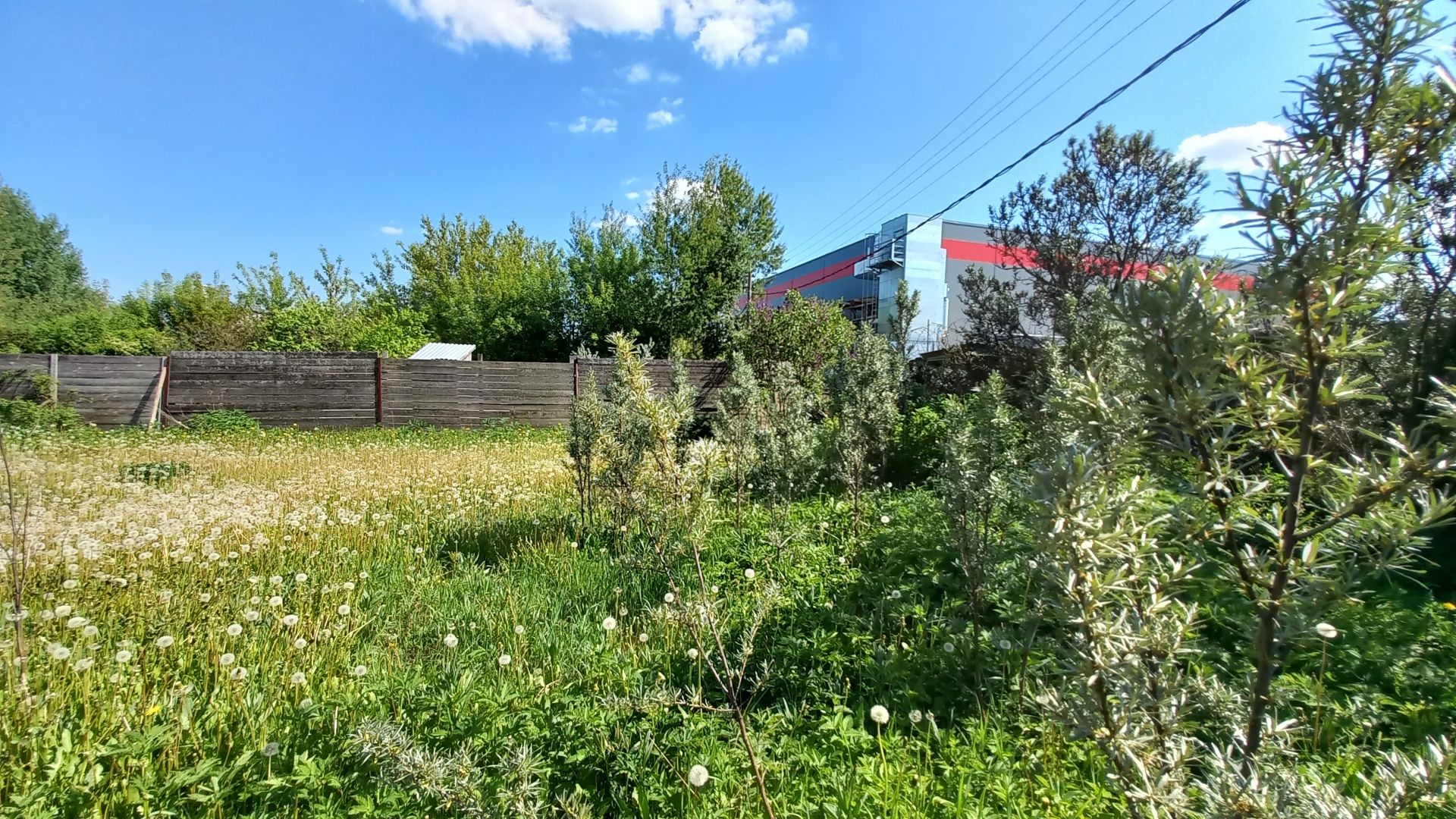 Земли сельхозназначения Московская область, городской округ Красногорск, садовое товарищество Яблонька