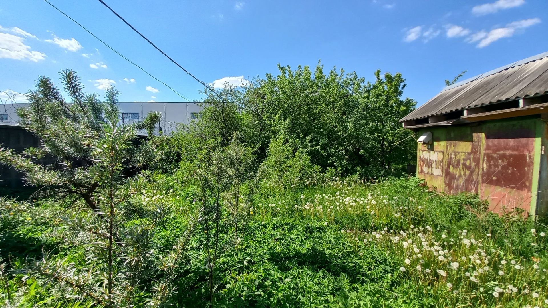 Земли сельхозназначения Московская область, городской округ Красногорск, садовое товарищество Яблонька