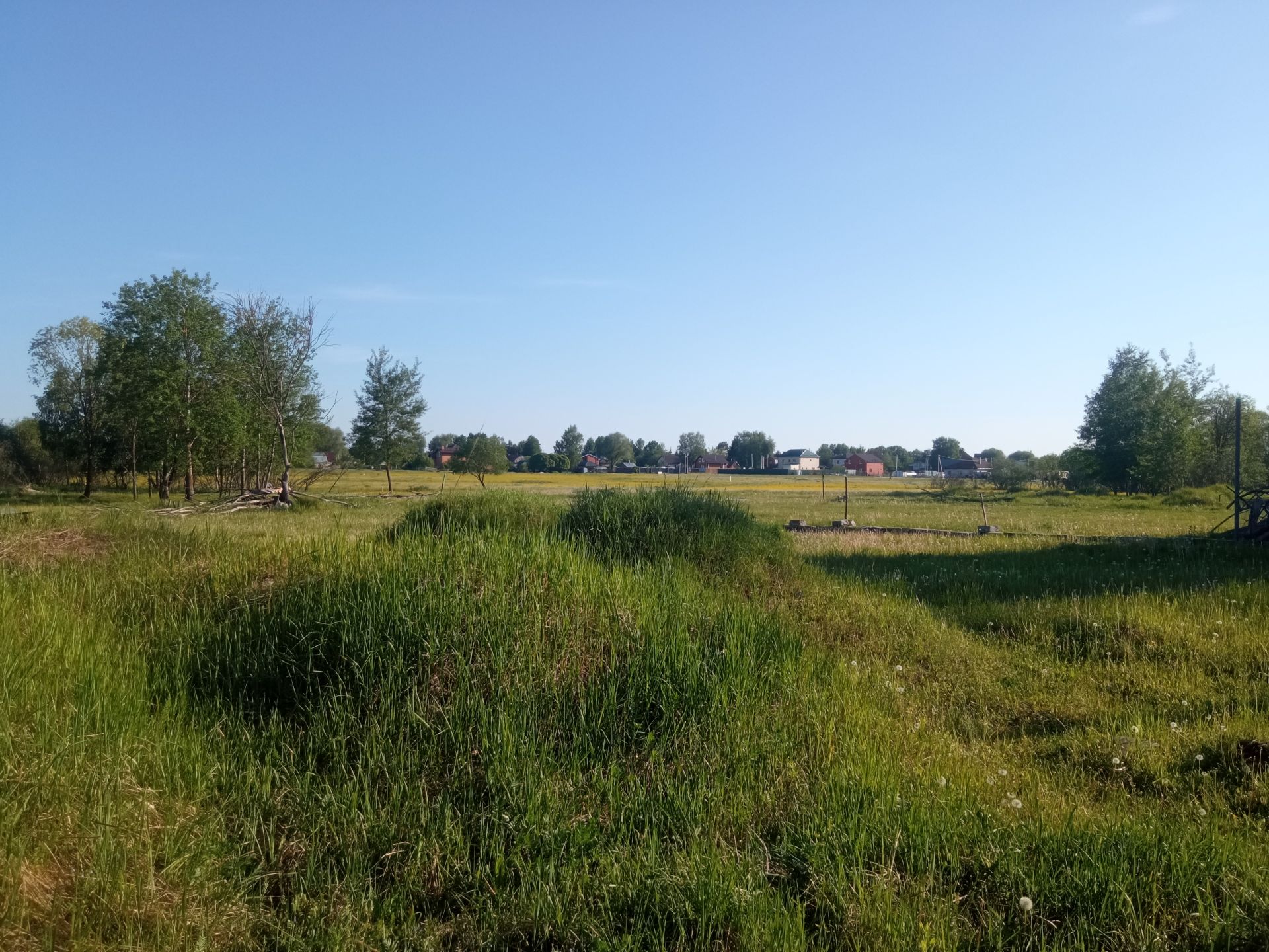 Земли поселения Московская область, городской округ Балашиха, деревня Полтево