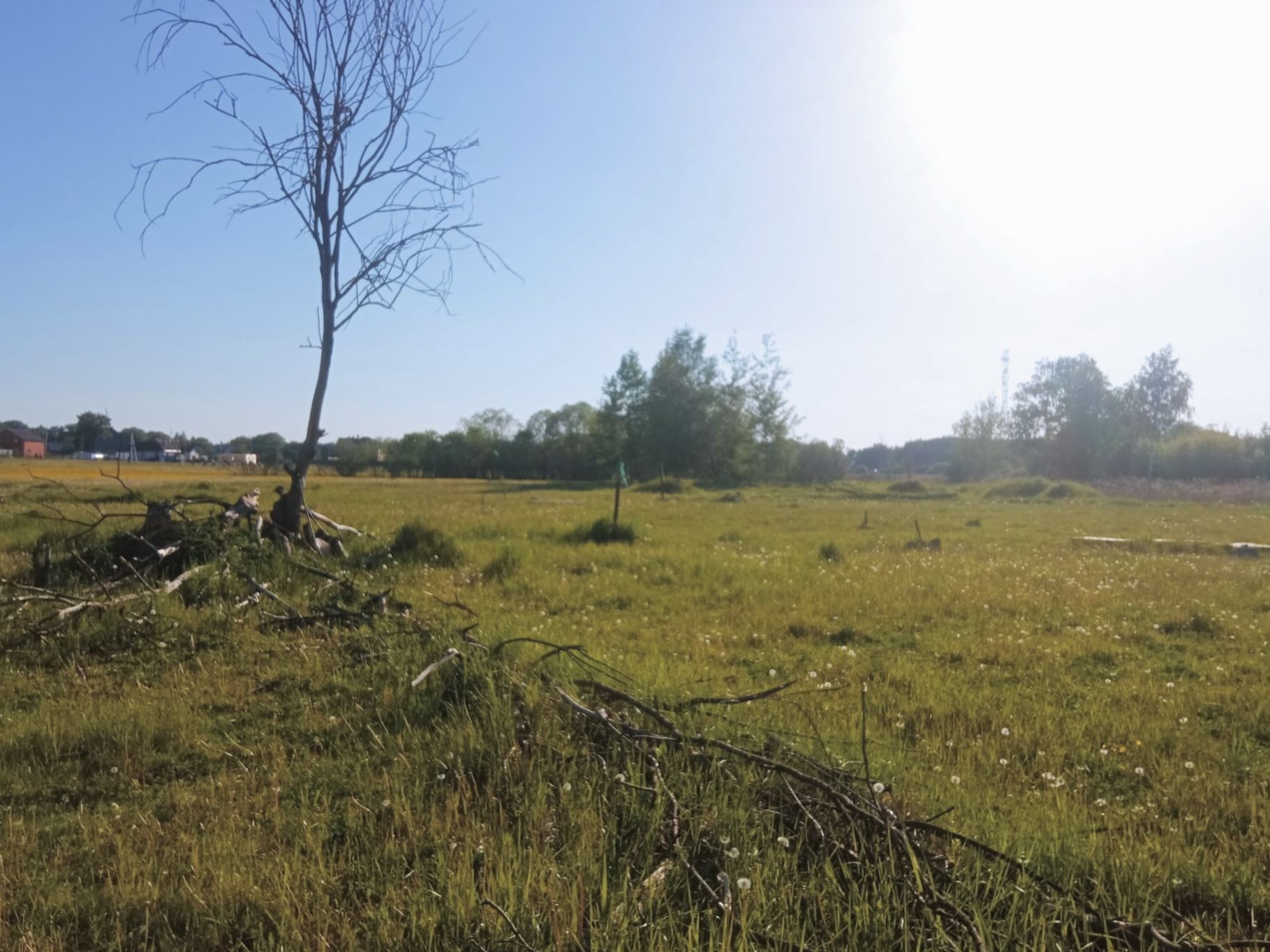 Земли поселения Московская область, городской округ Балашиха, деревня Полтево