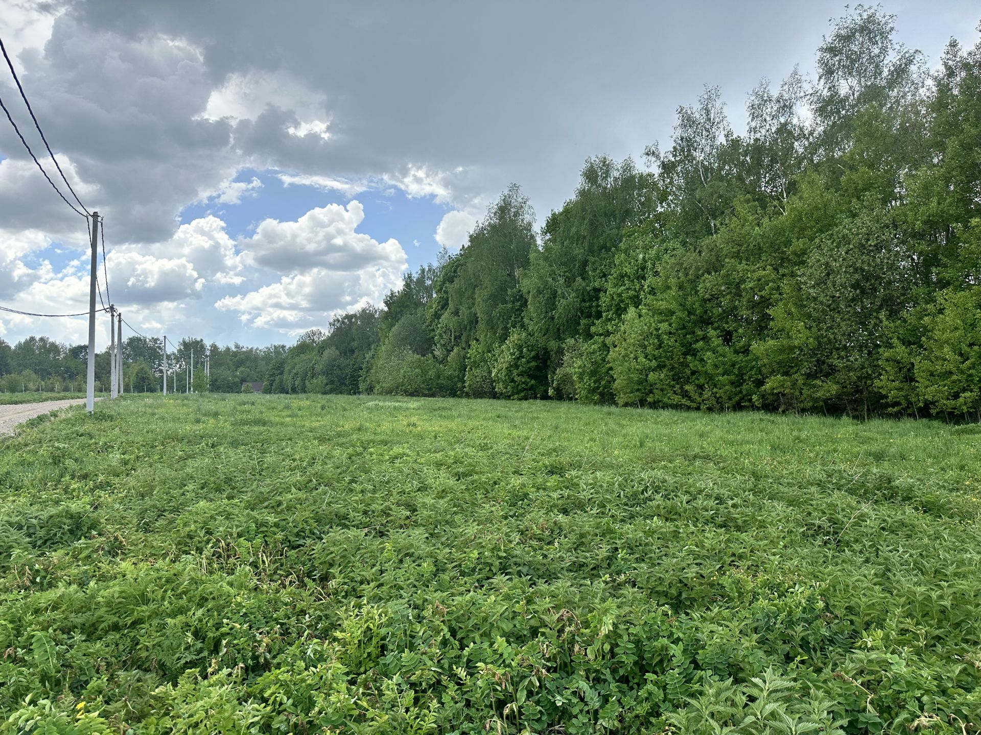 Земли сельхозназначения Московская область, городской округ Ступино, коттеджный посёлок Новое Лисичкино