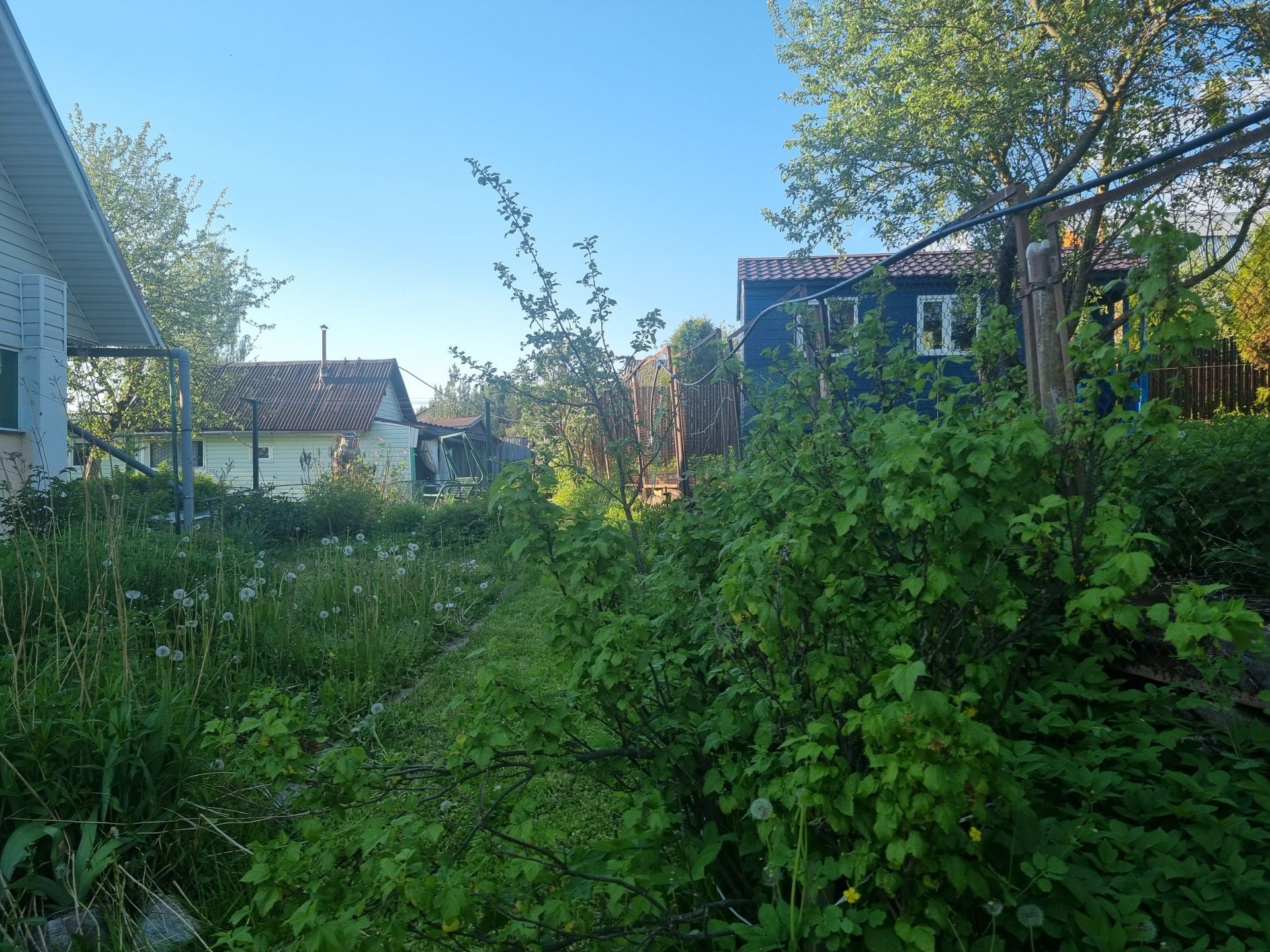 Дом Московская область, Рузский городской округ, садовое товарищество Светлана