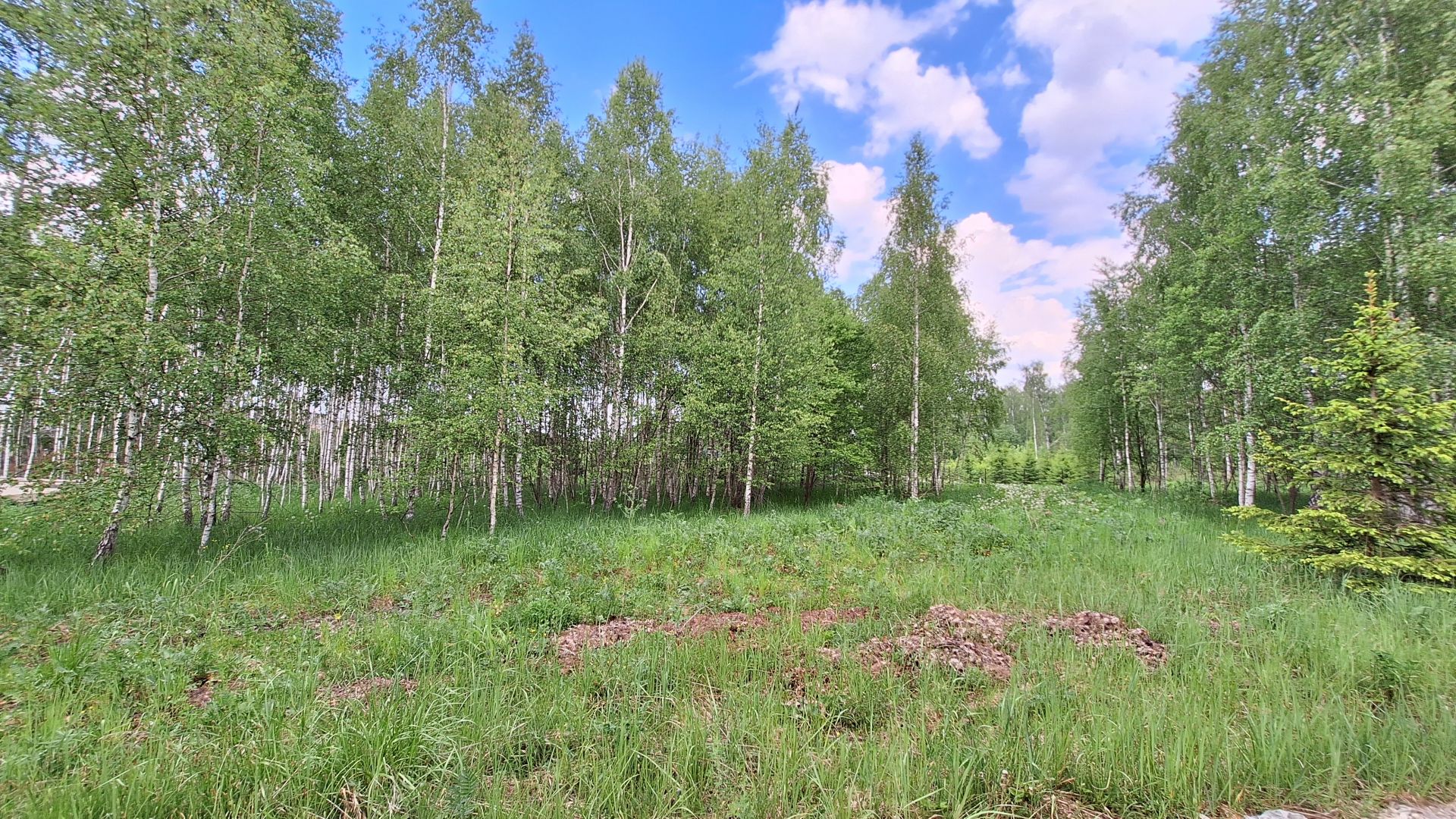 Земли поселения Московская область, городской округ Чехов, посёлок Мещерское,  улица Покровское – агентство недвижимости «Азбука недвижимости» Москва и МО