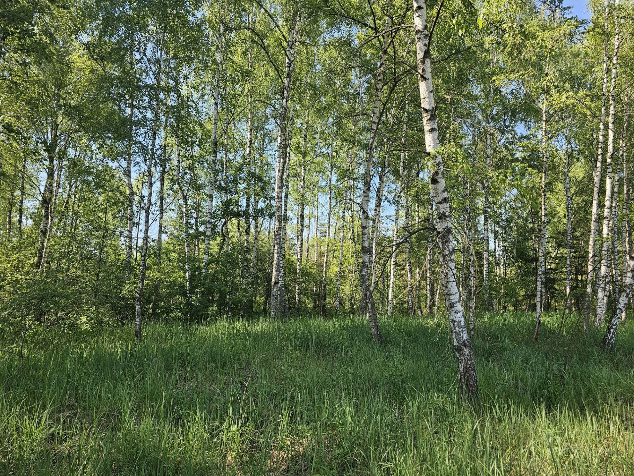 Земли поселения Московская область, Богородский городской округ, Электроугли, коттеджный посёлок Папиллон