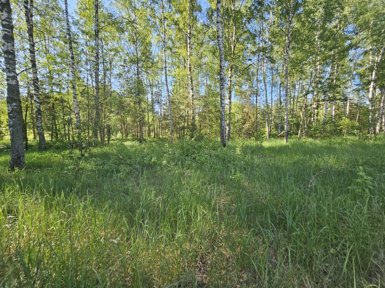 Земли поселения Московская область, Богородский городской округ, Электроугли, коттеджный посёлок Папиллон